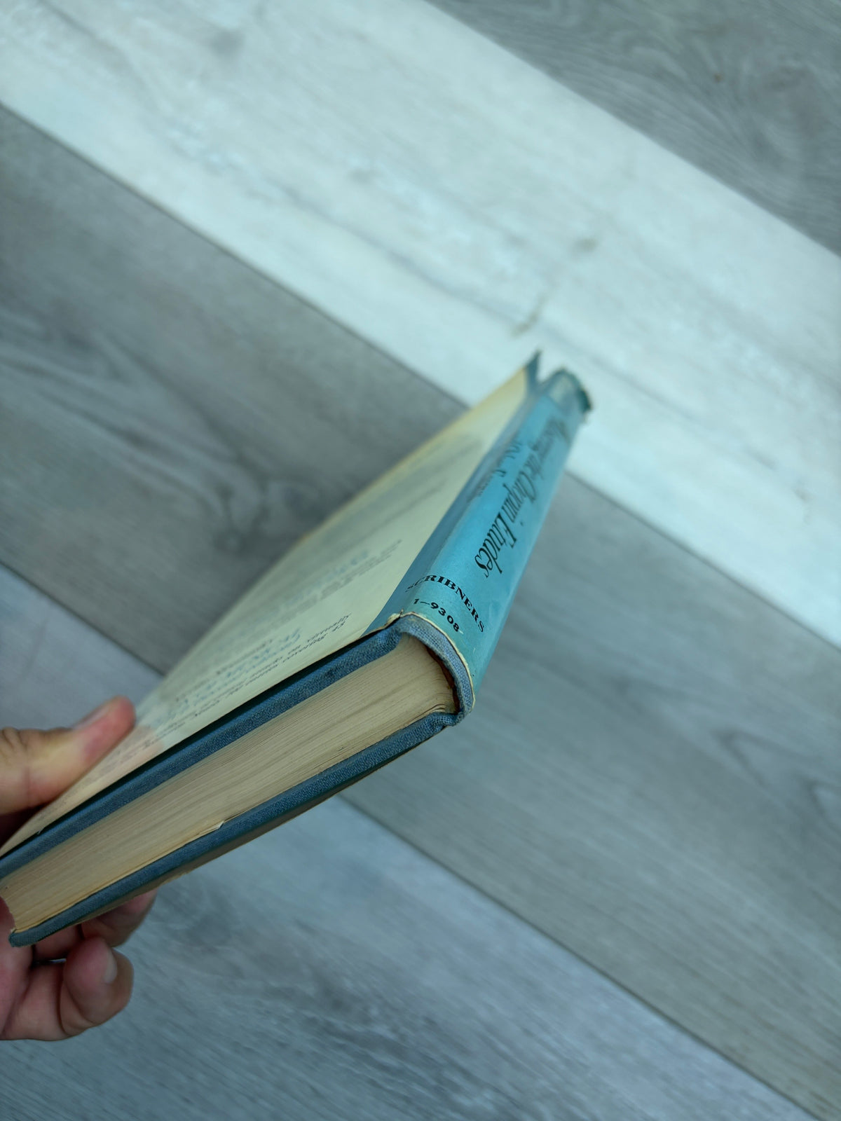 Mastering the Chopin Etudes and Other Essays