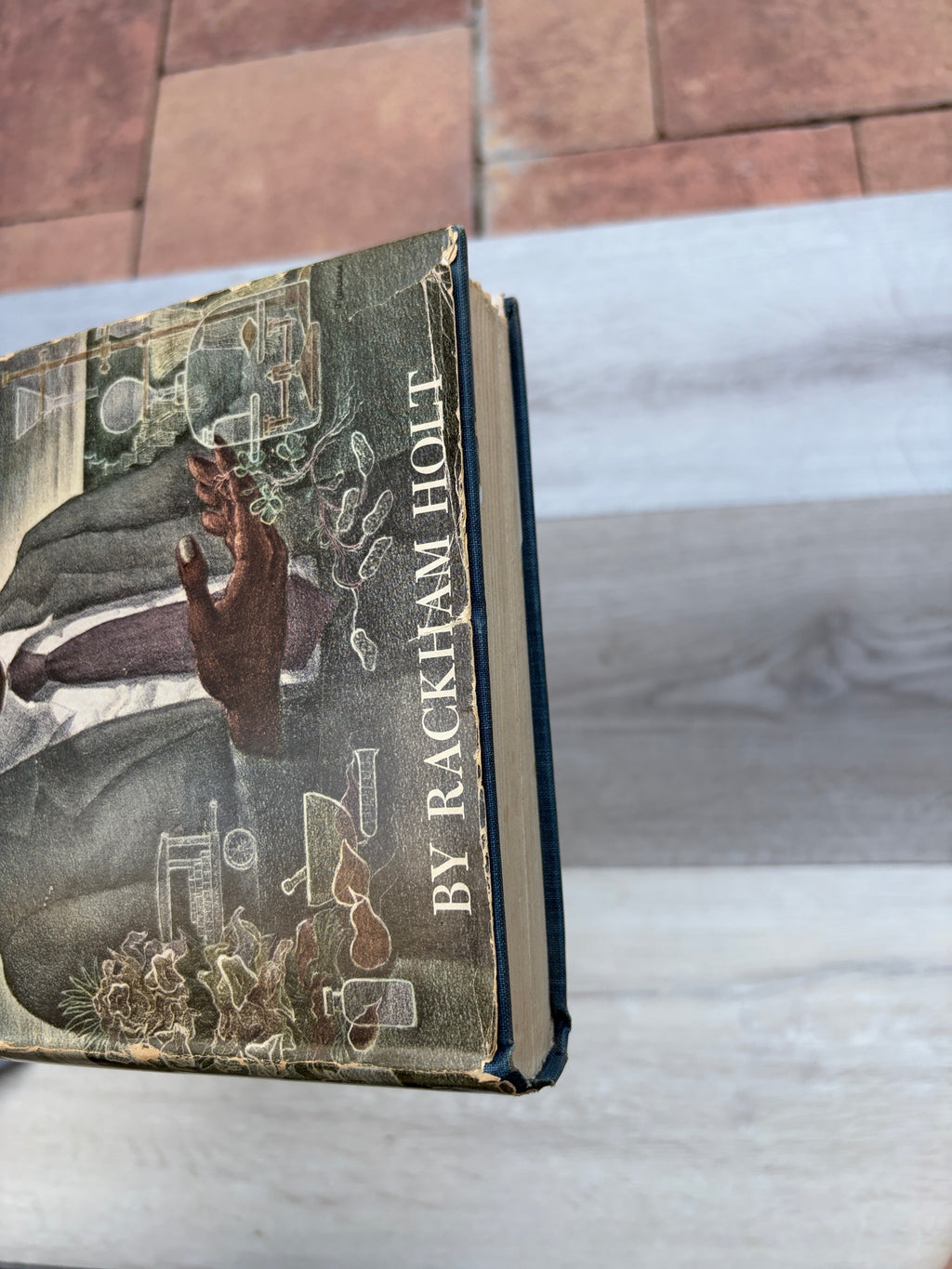 George Washington Carver: An American Biography