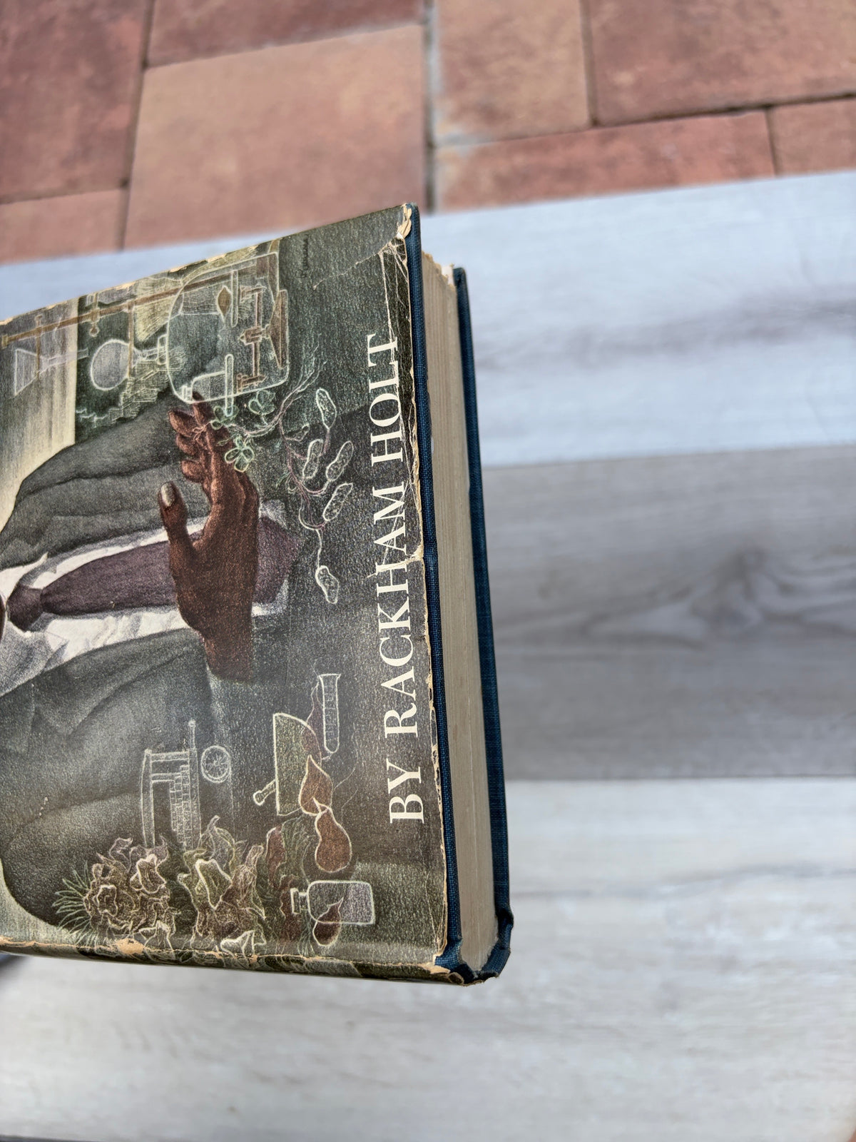 George Washington Carver: An American Biography