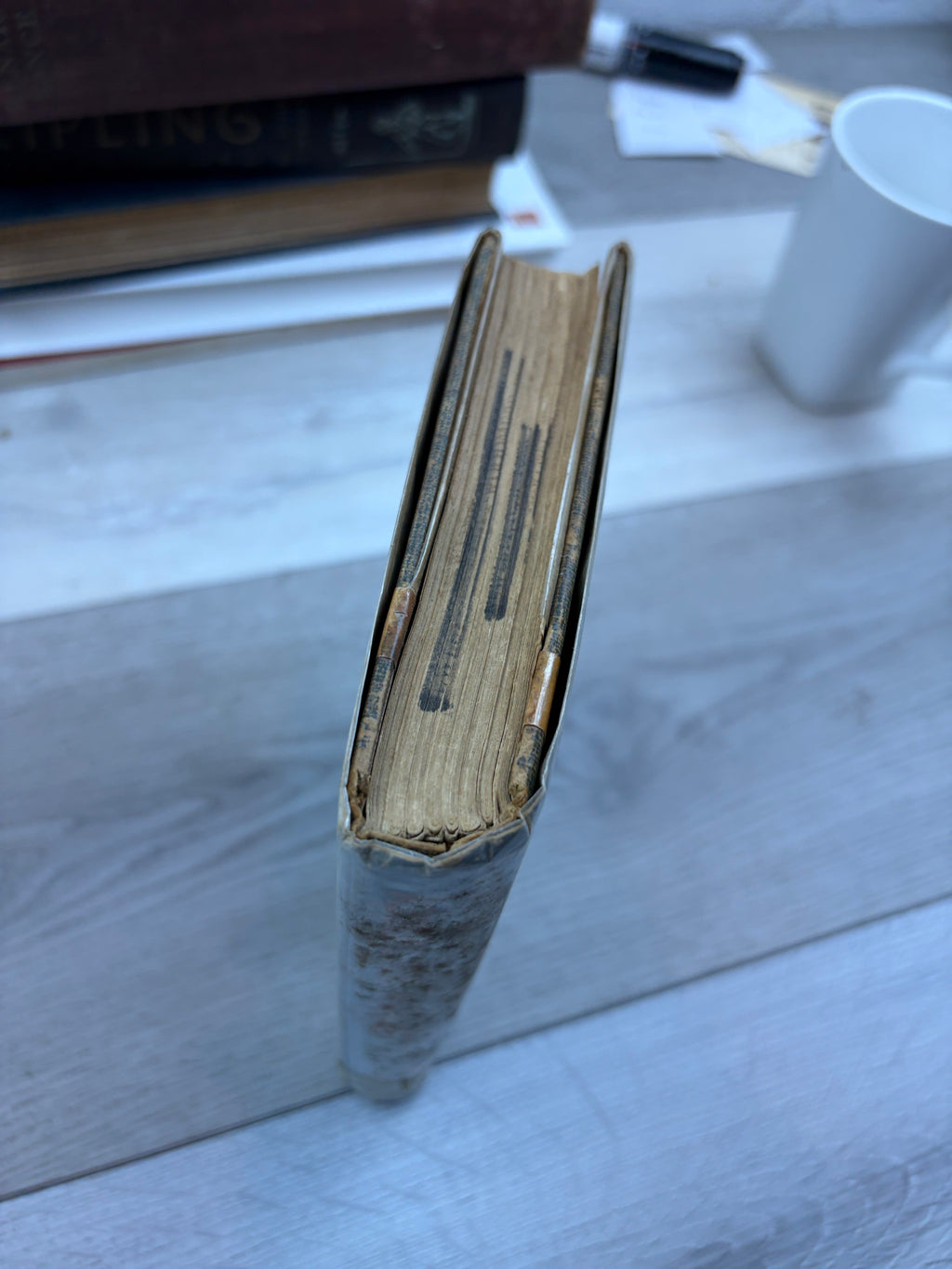 Appointment in Vienna: A Novel of Intrigue