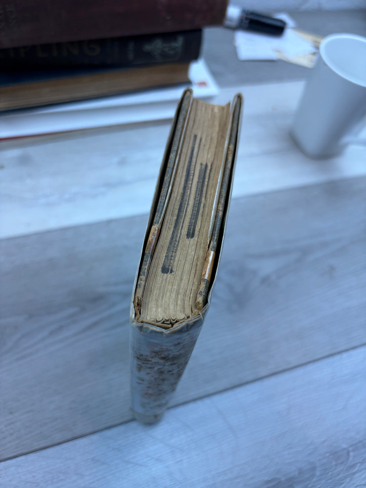 Appointment in Vienna: A Novel of Intrigue