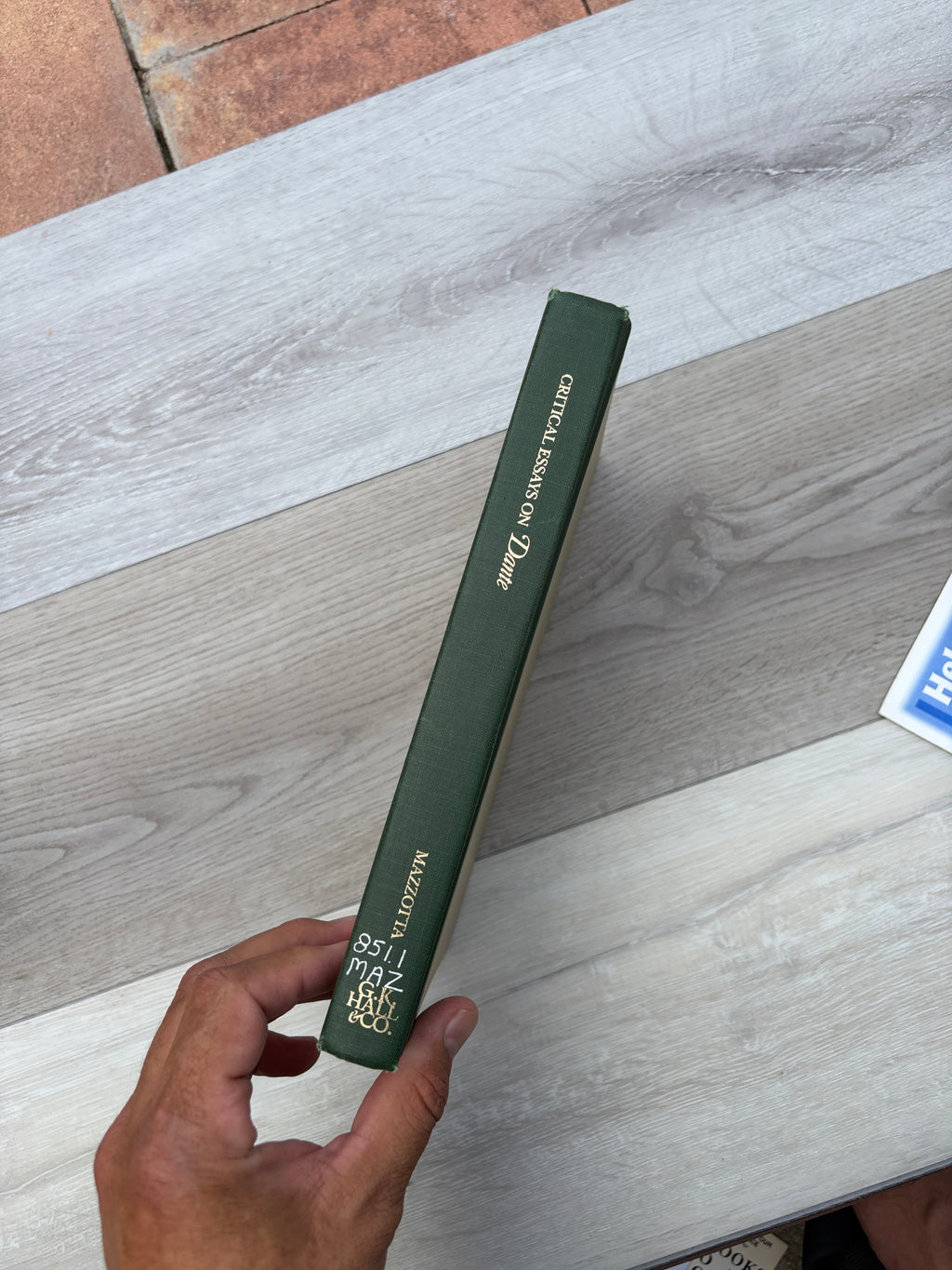 Critical Essays on Dante