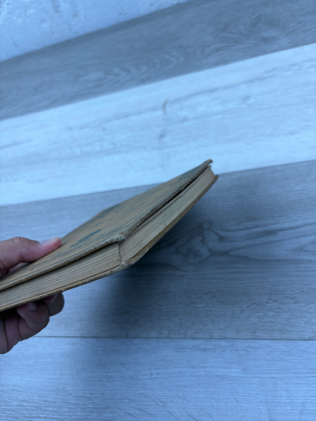The Art-Literature Readers, Book Four