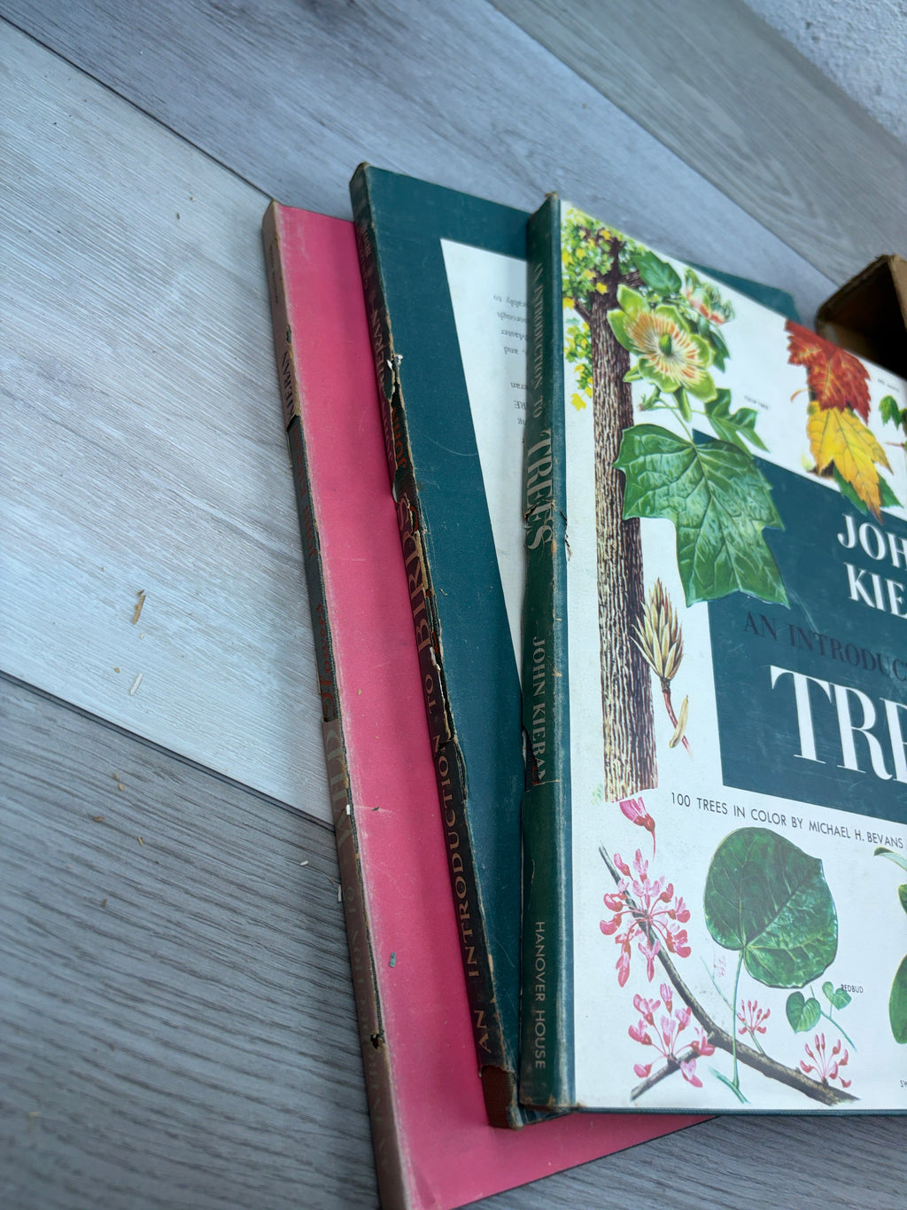 An Introduction to Trees (3 Books)