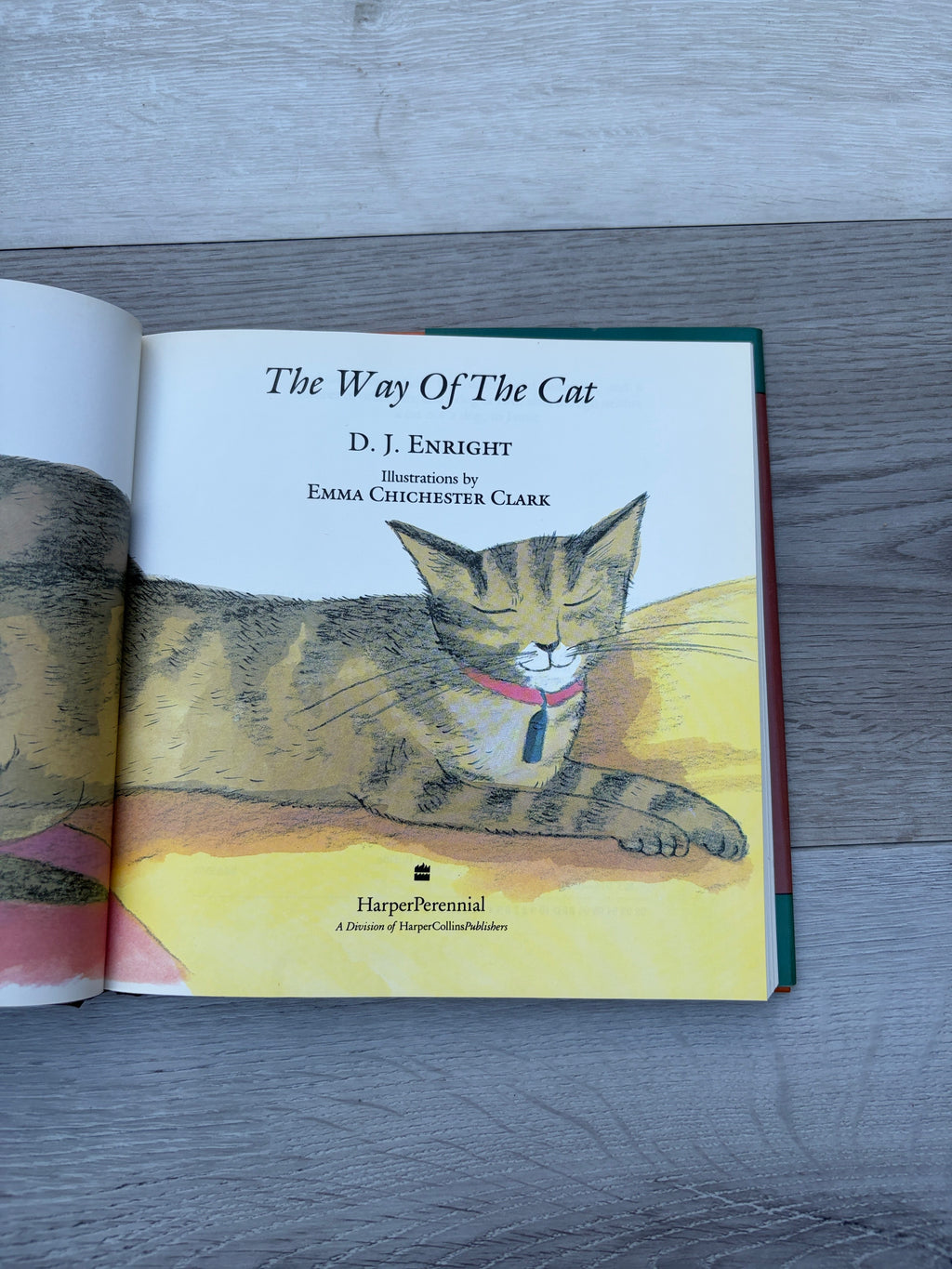 The Way of the Cat