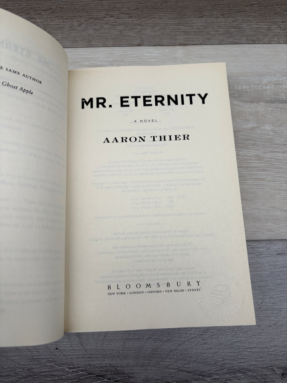 Mr. Eternity: A Novel