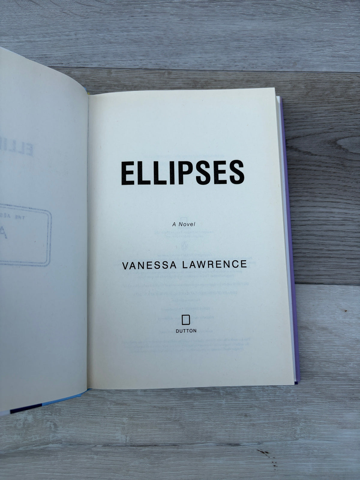 Ellipses: A Novel