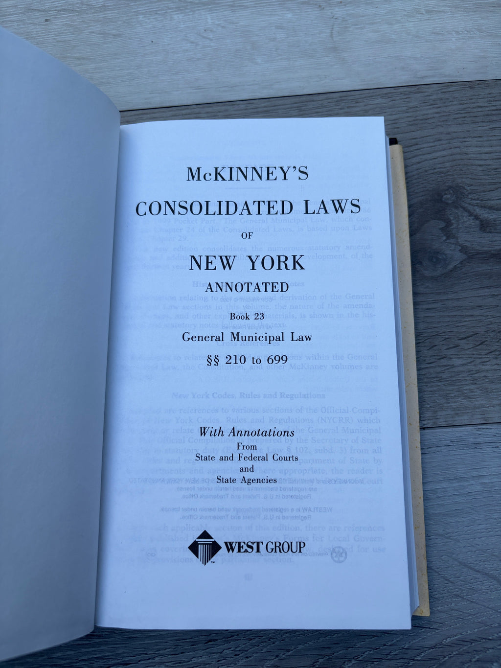 McKinney's Consolidated Laws of New York Annotated. Book 23