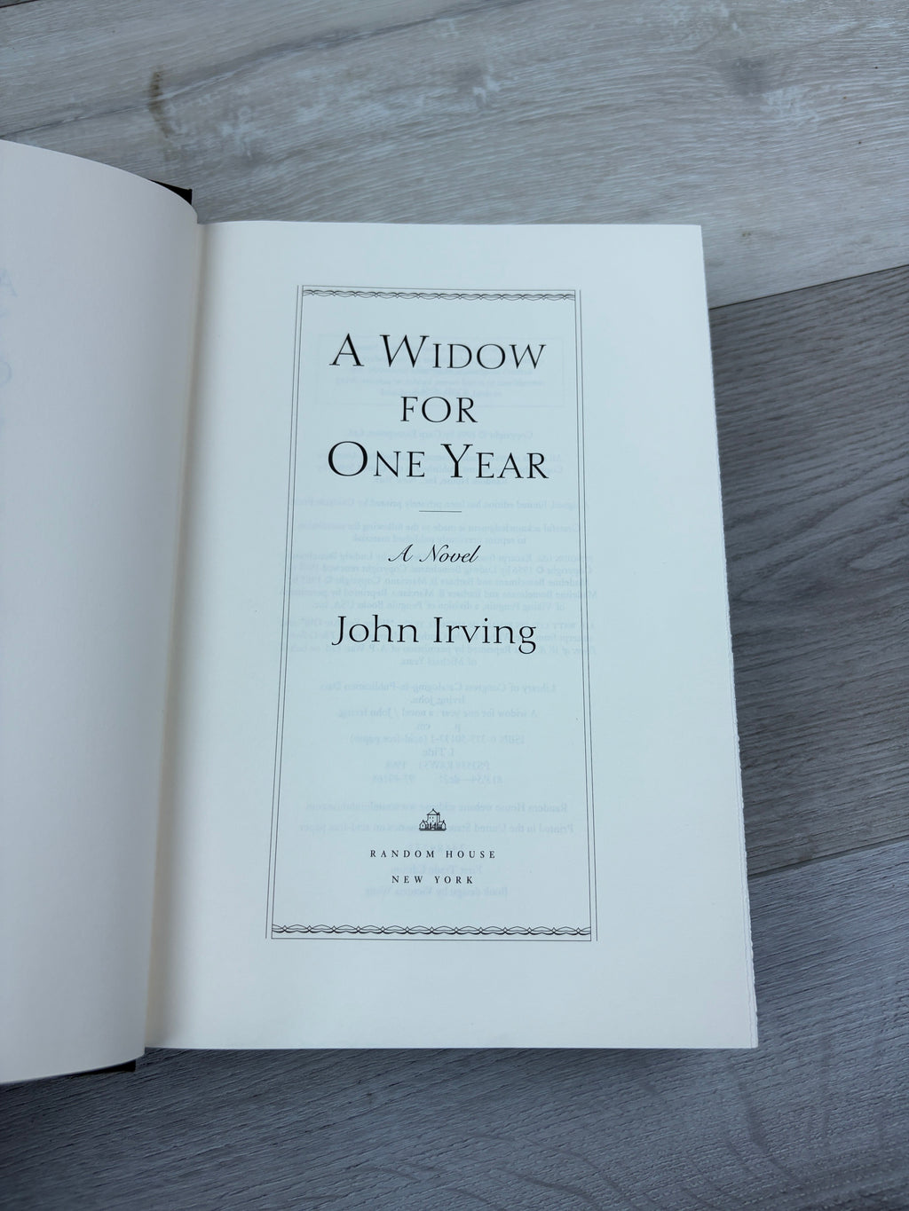 A Widow for One Year: A Novel
