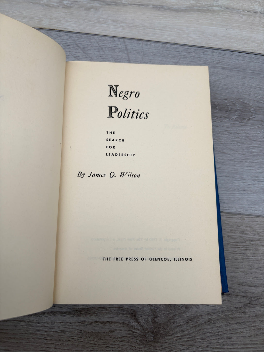 Negro Politics: The Search for Leadership