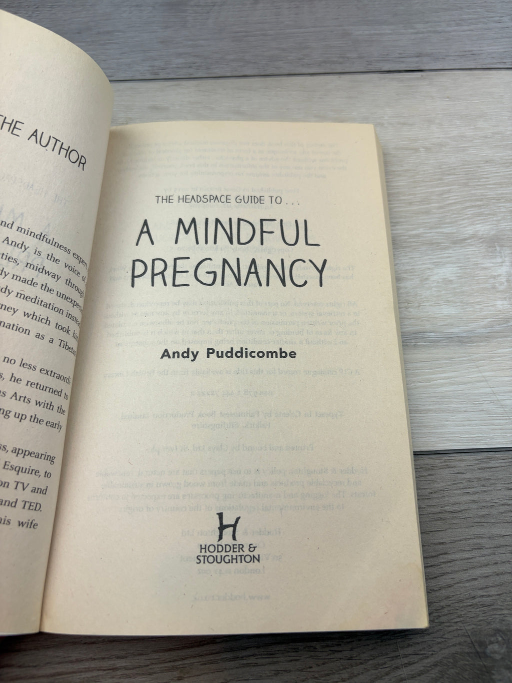 The Headspace Guide to a Mindful Pregnancy