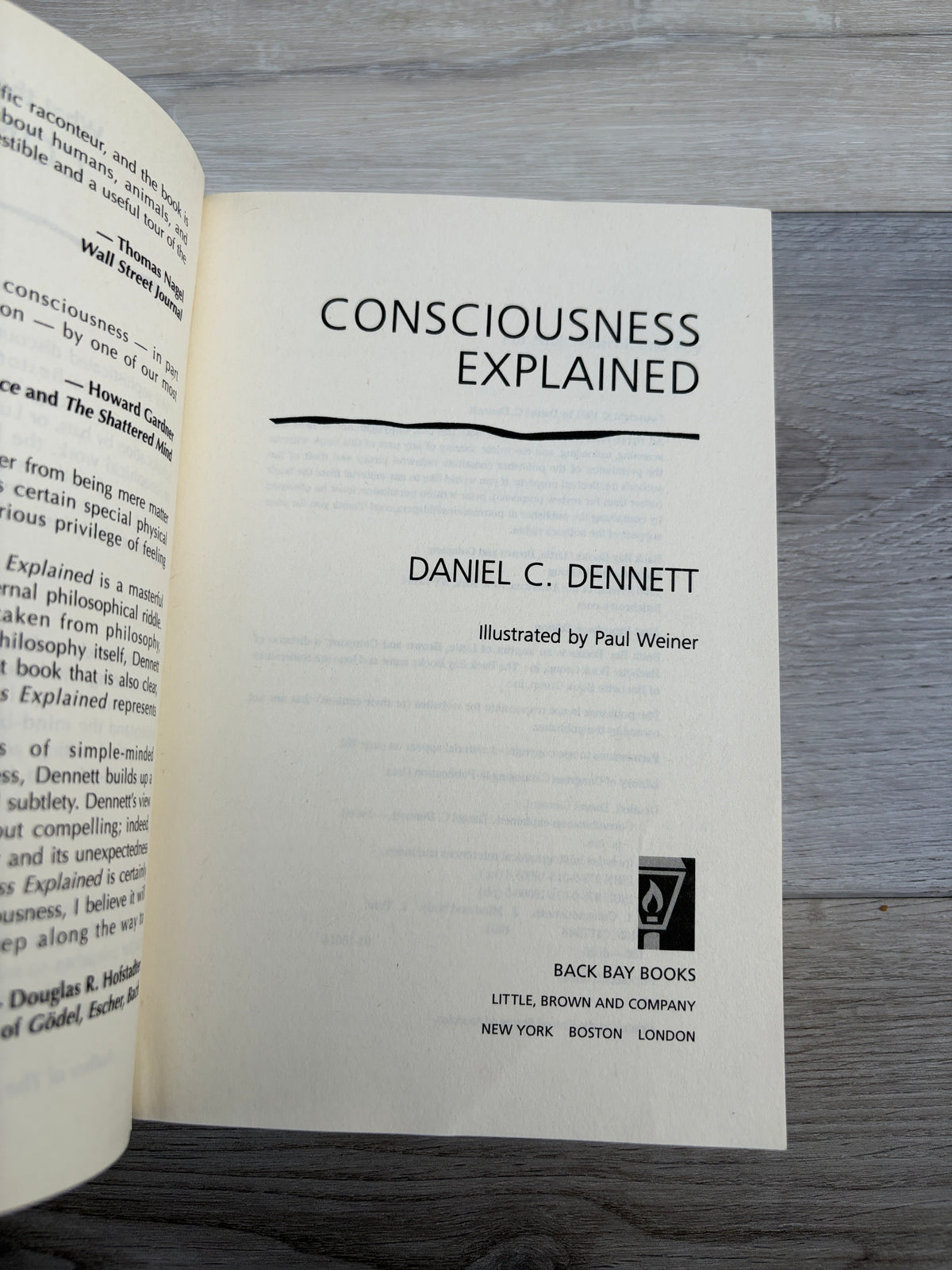 Consciousness Explained