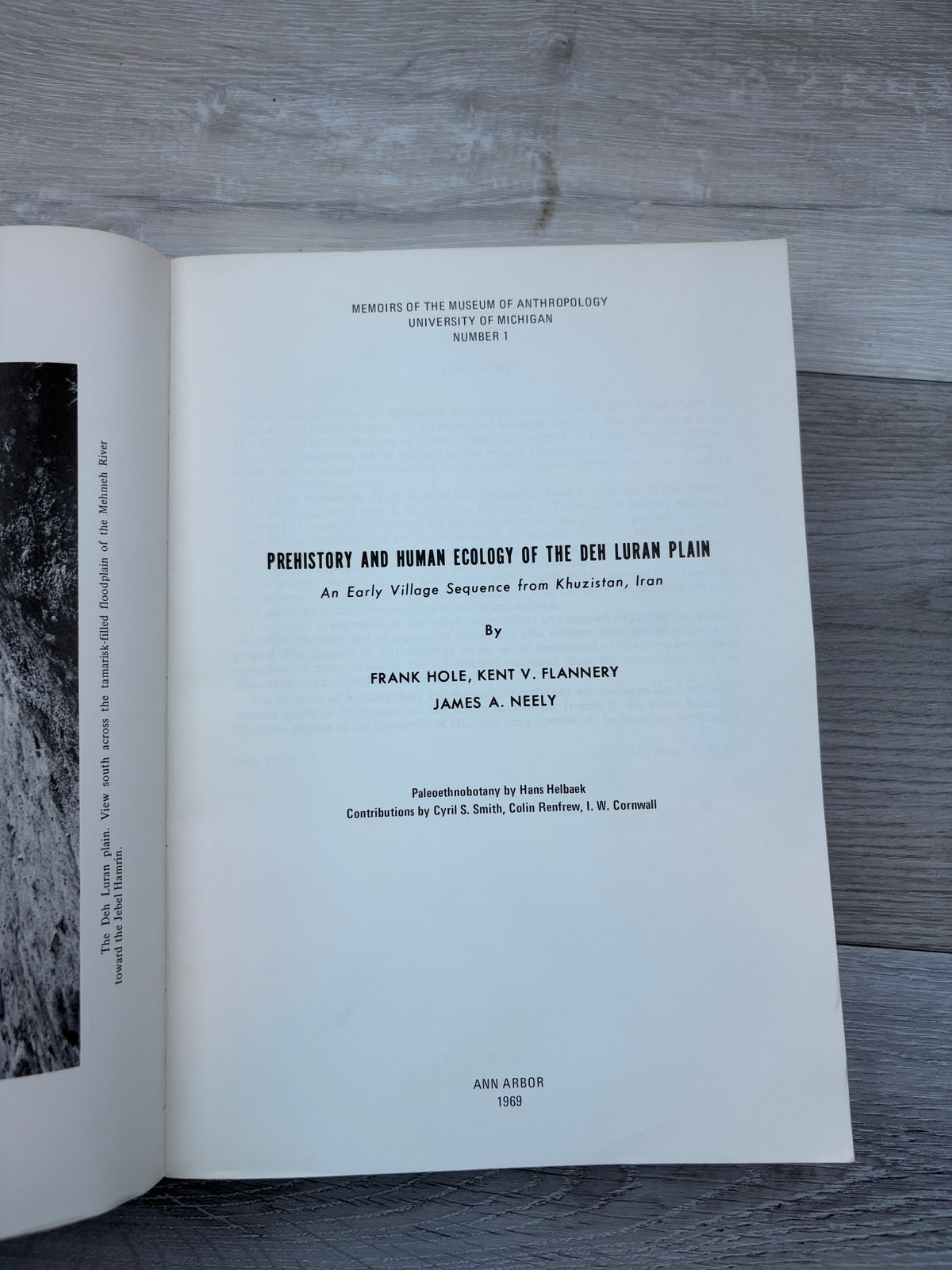 Prehistory and Human Ecology of the Deh Luran Plain
