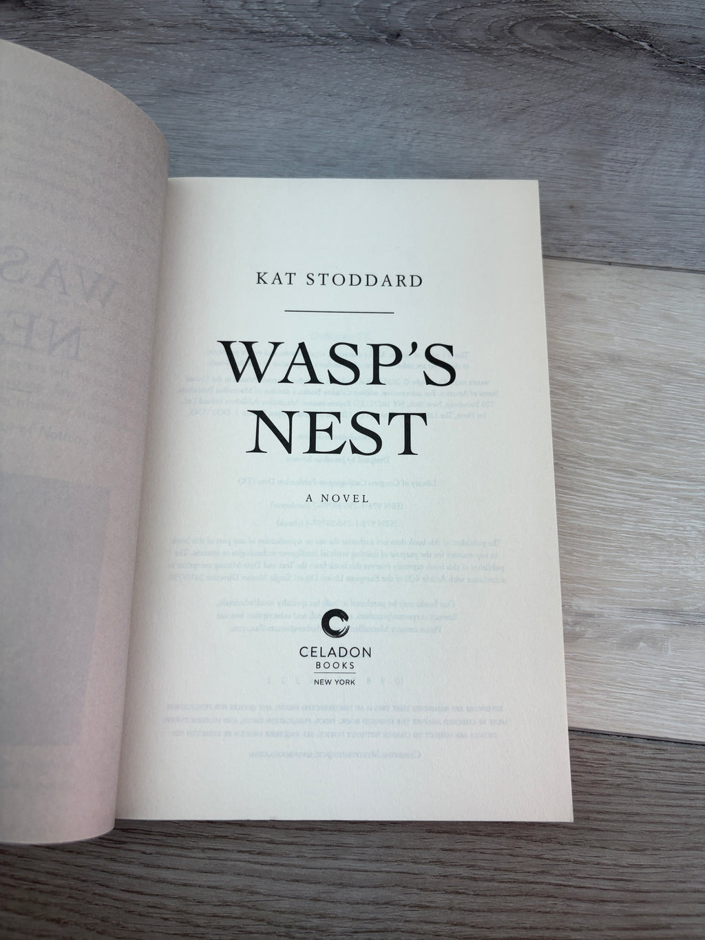 Wasp's Nest