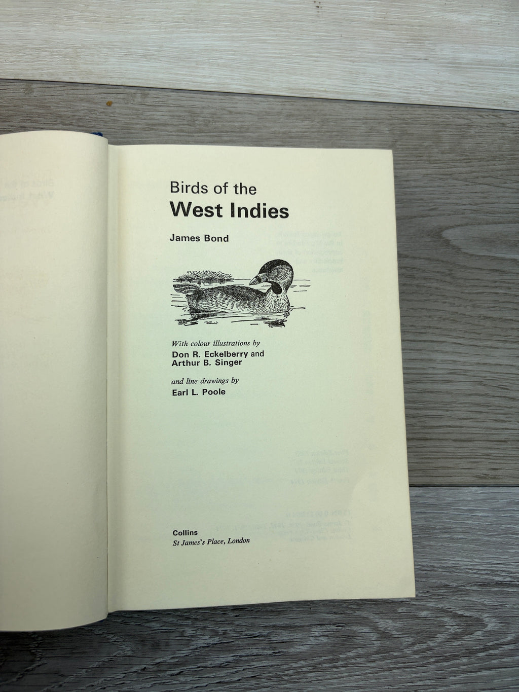 Birds of the West Indies