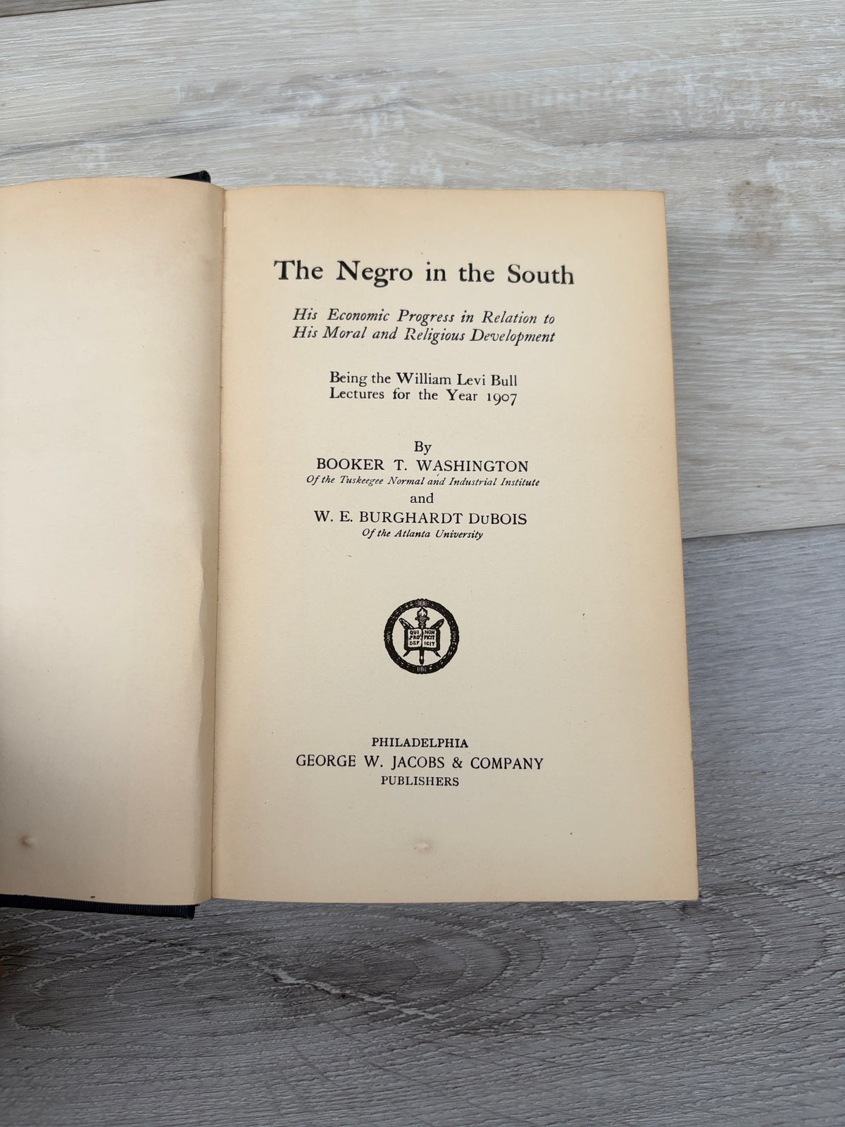 The Negro in the South