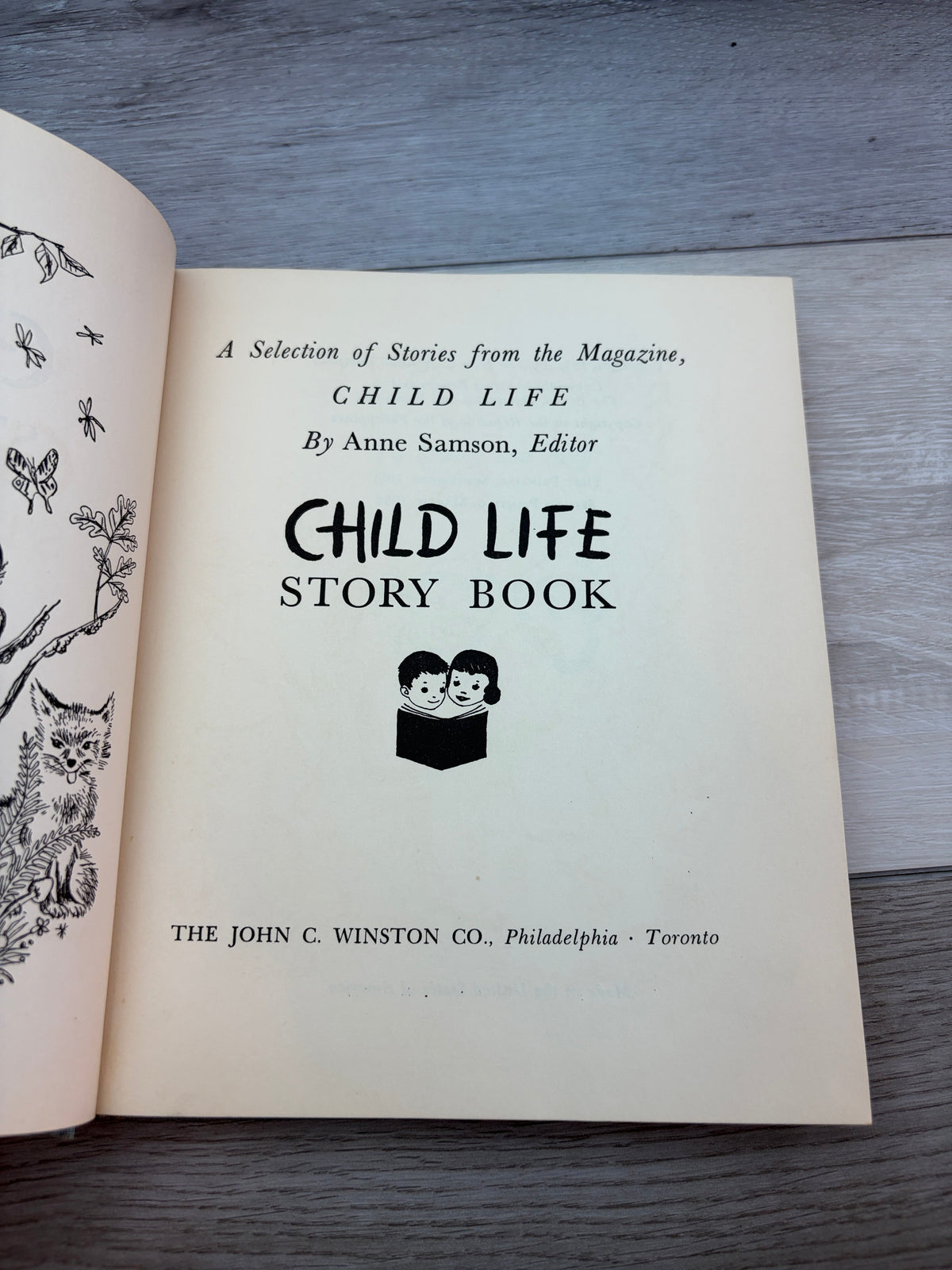 Child Life Story Book