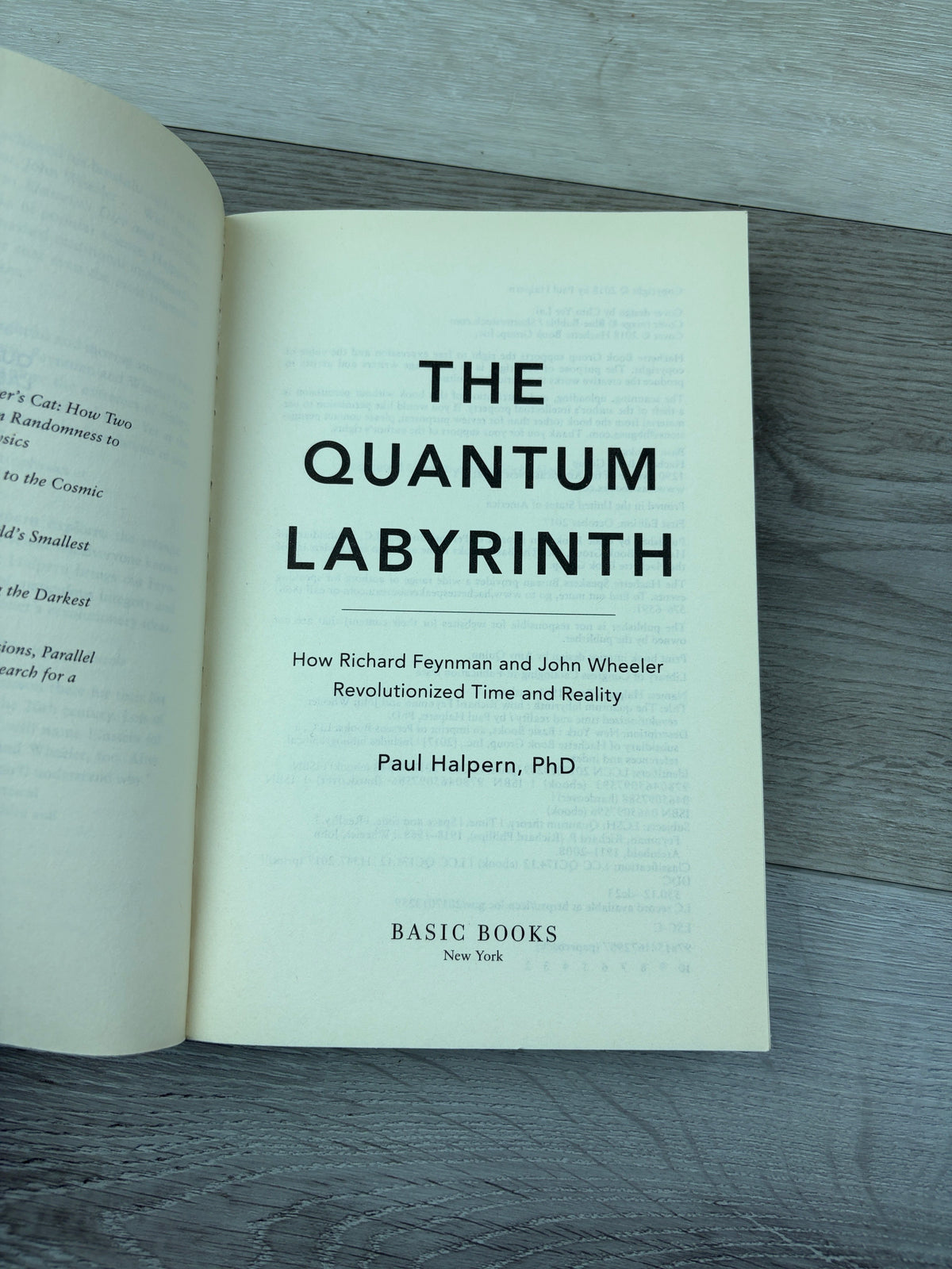 The Quantum Labyrinth: How Richard Feynman and John Wheeler Revolutionized Time and Reality