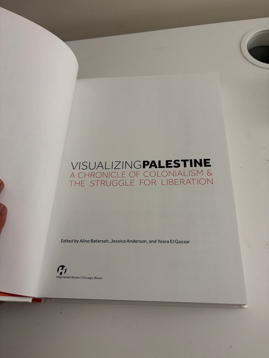Visualizing Palestine