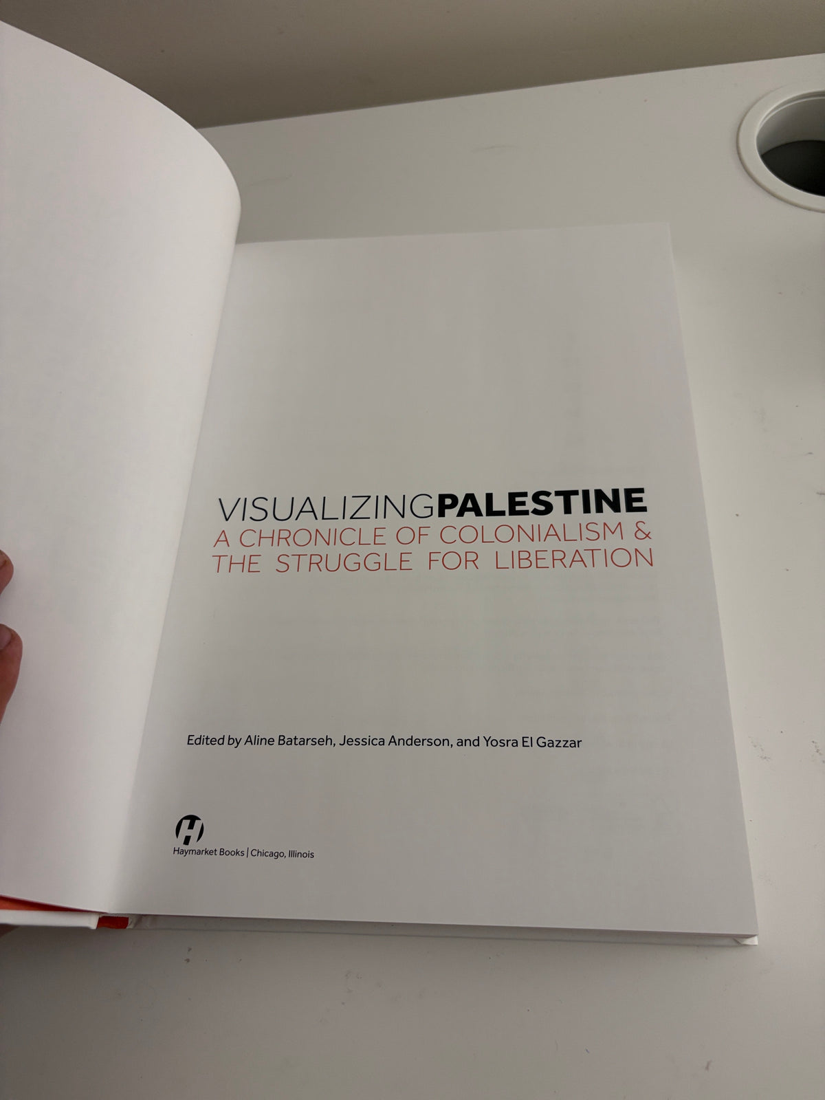 Visualizing Palestine