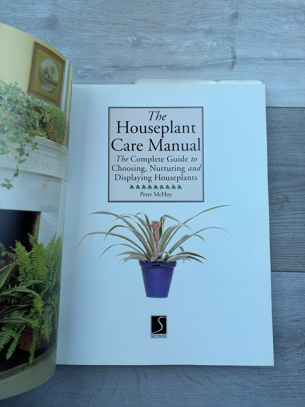 The Houseplant Care Manual: The Complete Guide to Choosing, Nurturing and Displaying Houseplants