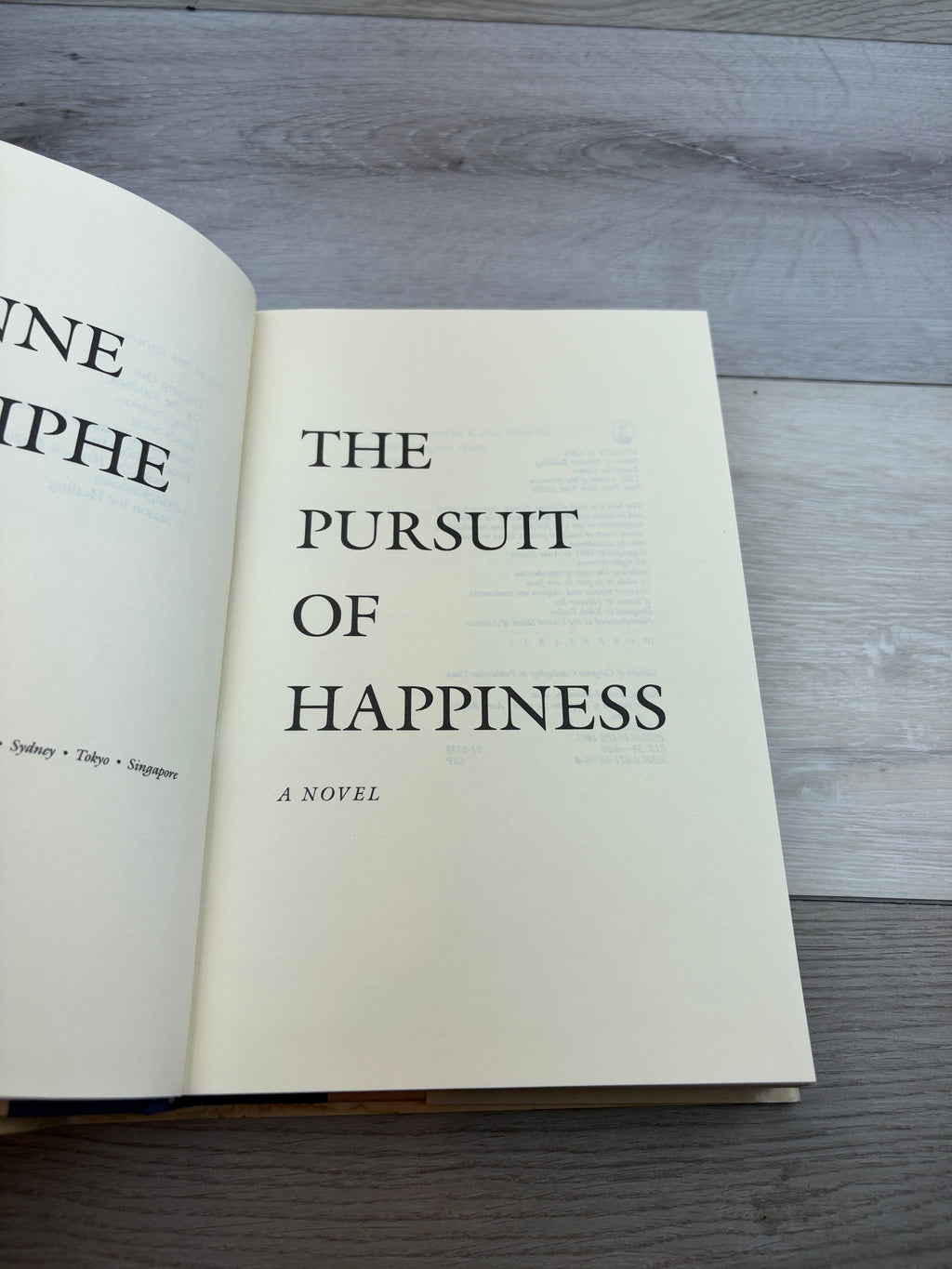 The Pursuit of Happiness: A Novel