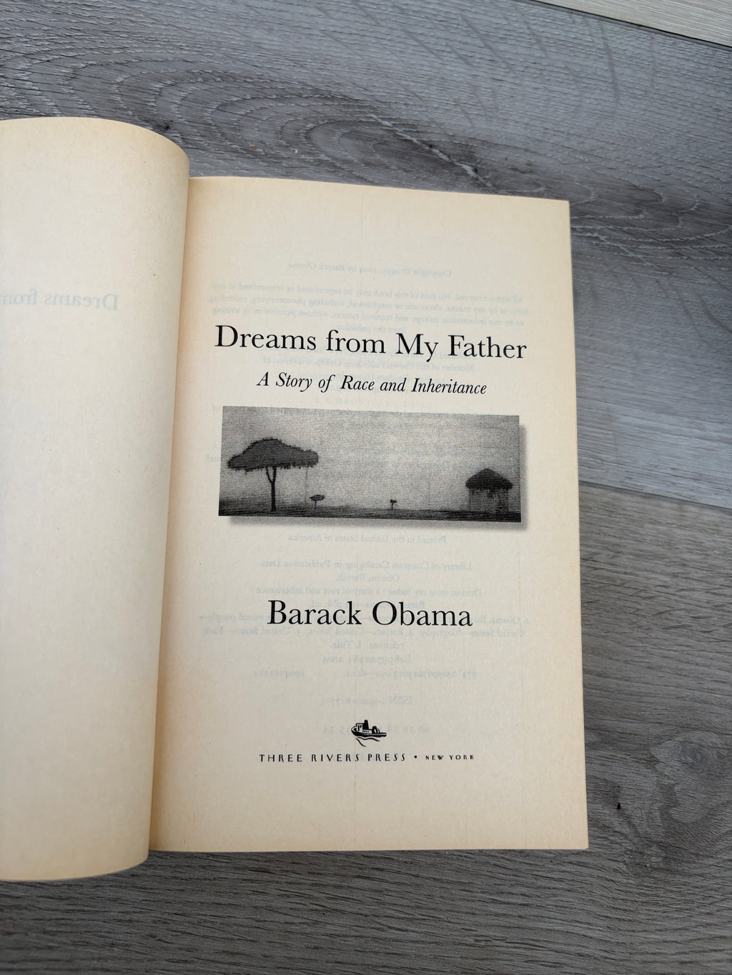 Dreams from My Father: A Story of Race and Inheritance