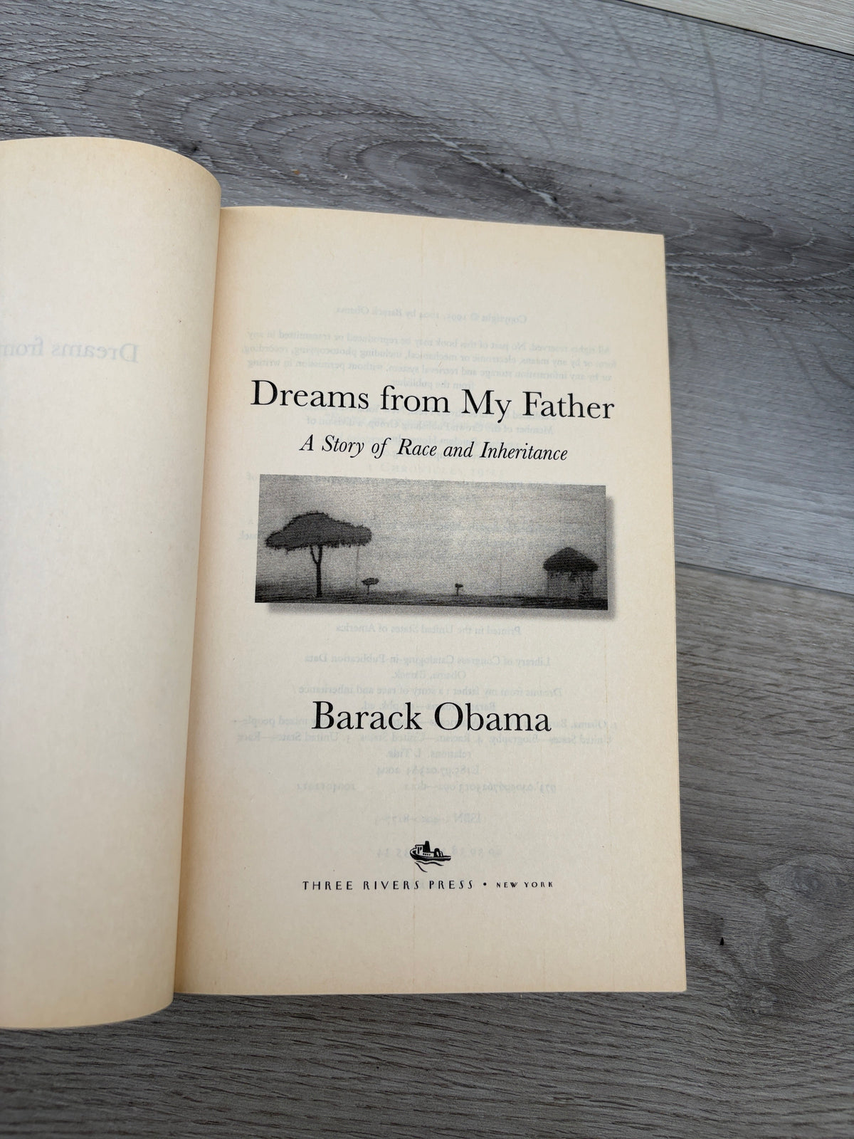 Dreams from My Father: A Story of Race and Inheritance