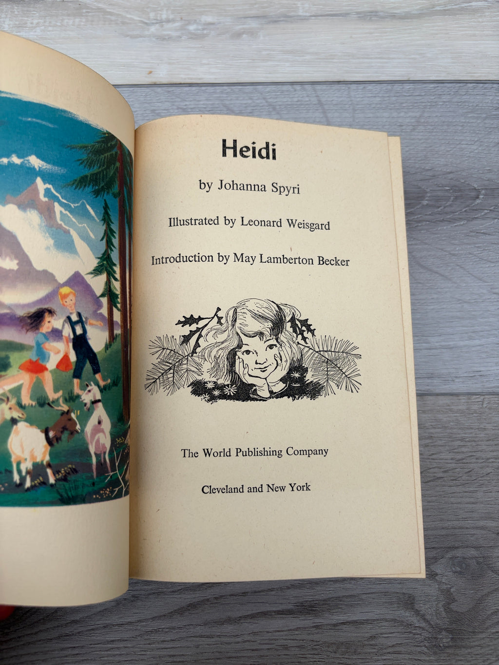Heidi