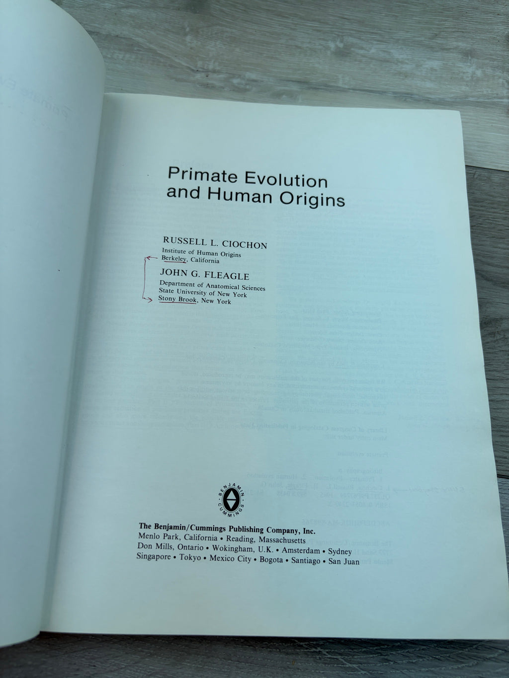 Primate Evolution and Human Origins