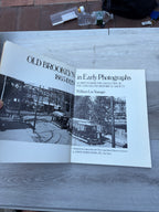 Old Brooklyn, 1865-1929, in Early Photographs