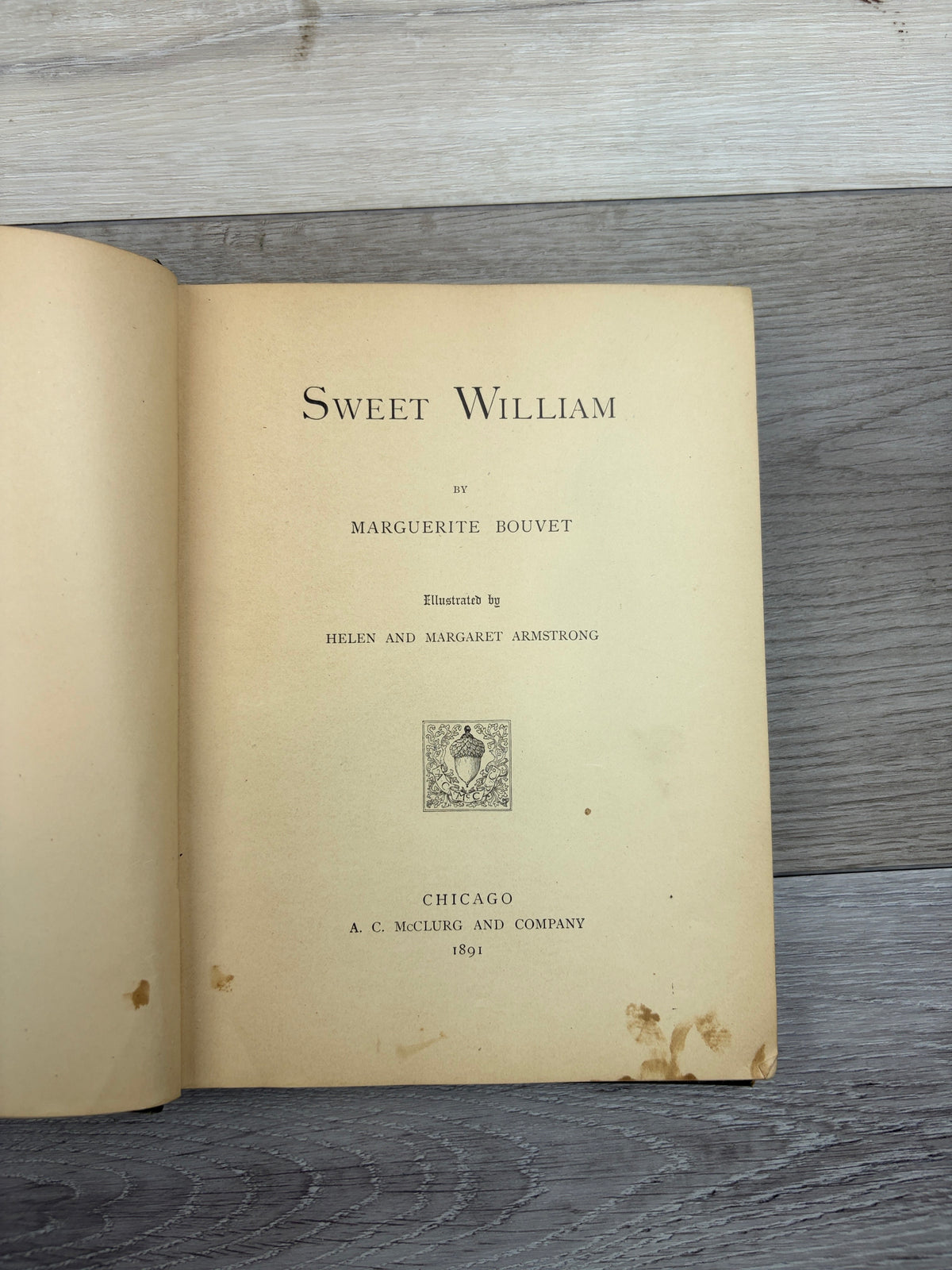 Sweet William