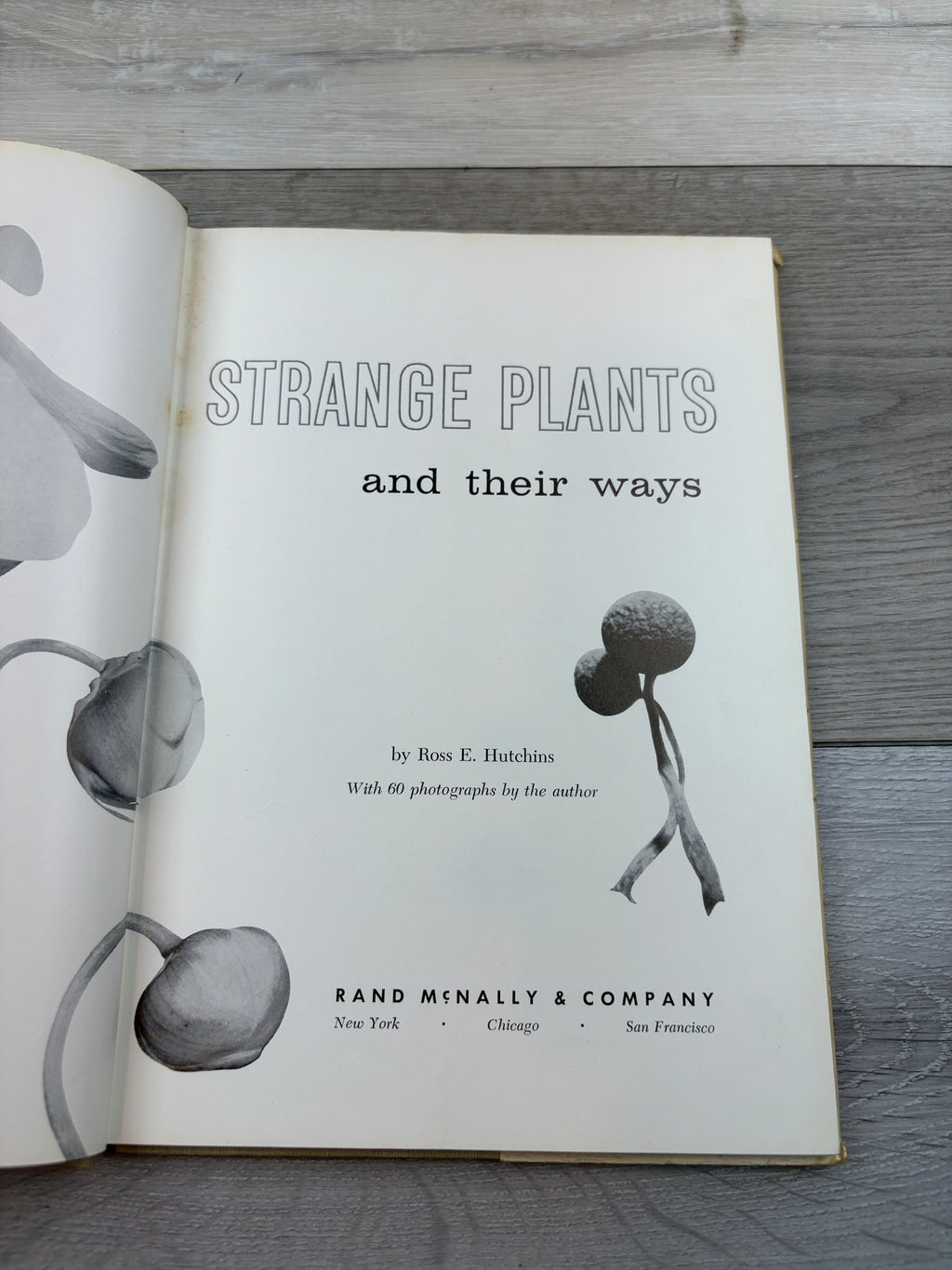 Strange Plants and Their Ways
