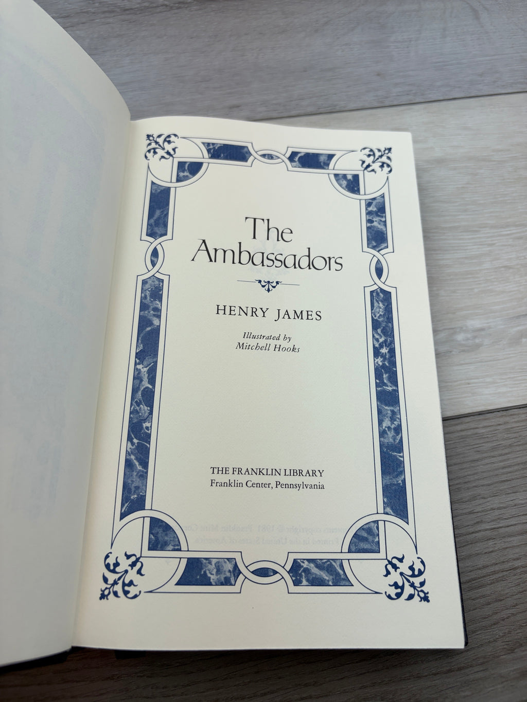 The Ambassadors