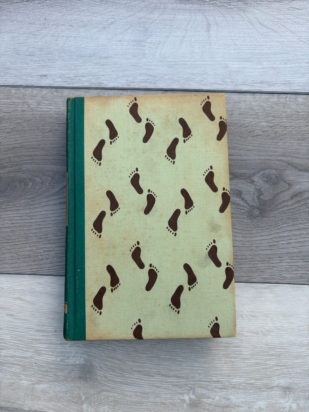 The Life and Strange Surprising Adventures of Robinson Crusoe