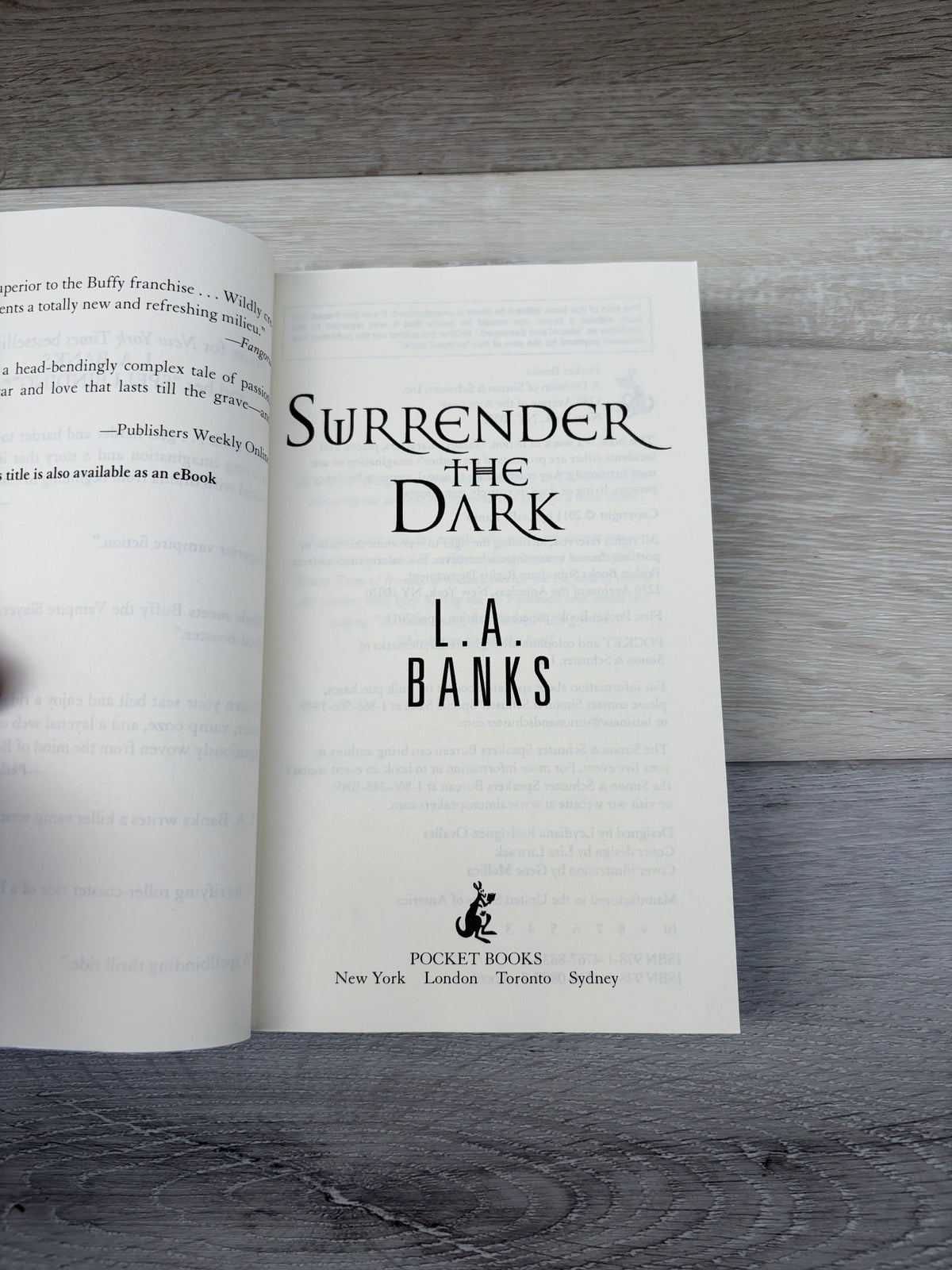 Surrender the Dark