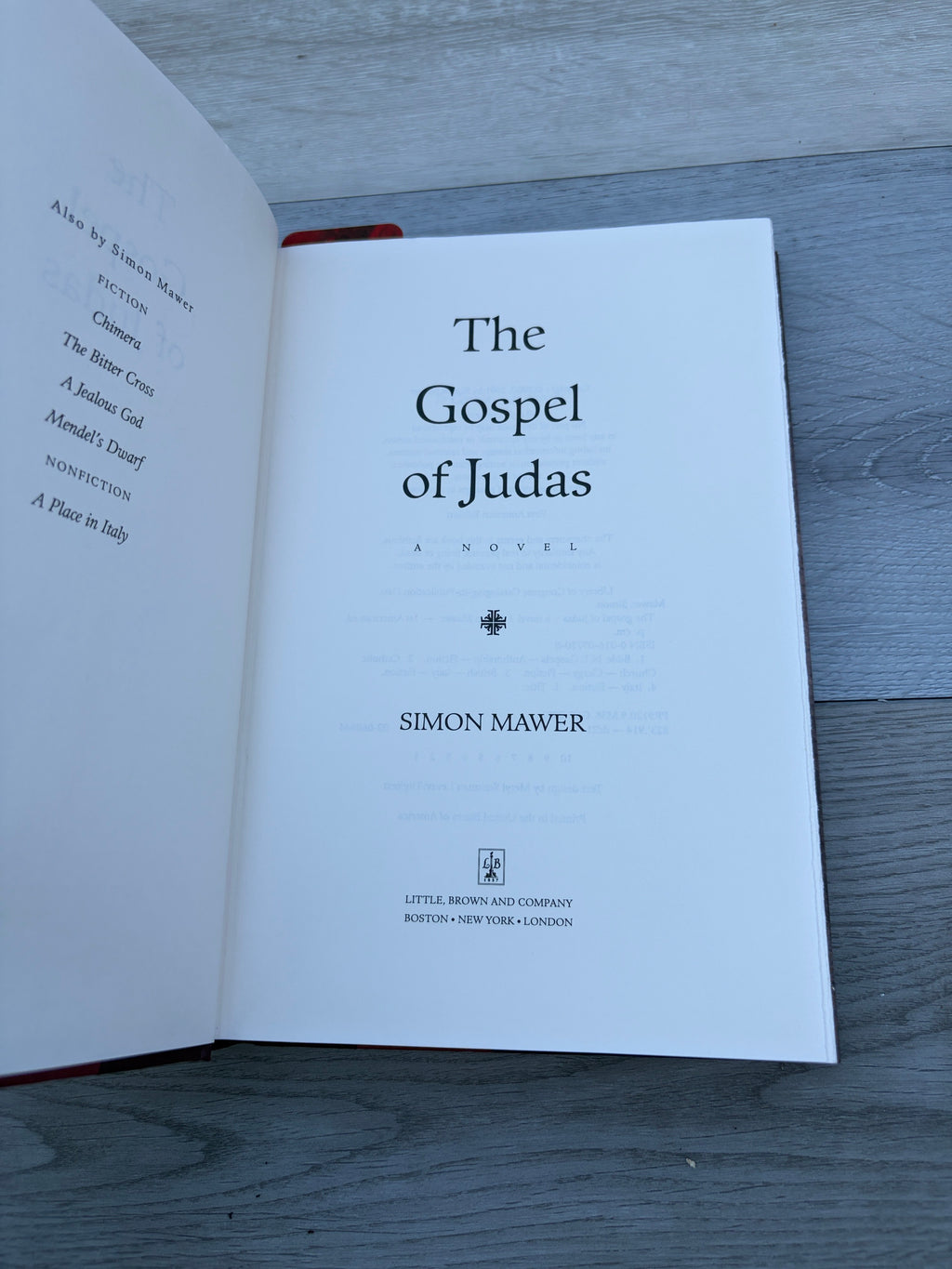 The Gospel of Judas: A Novel