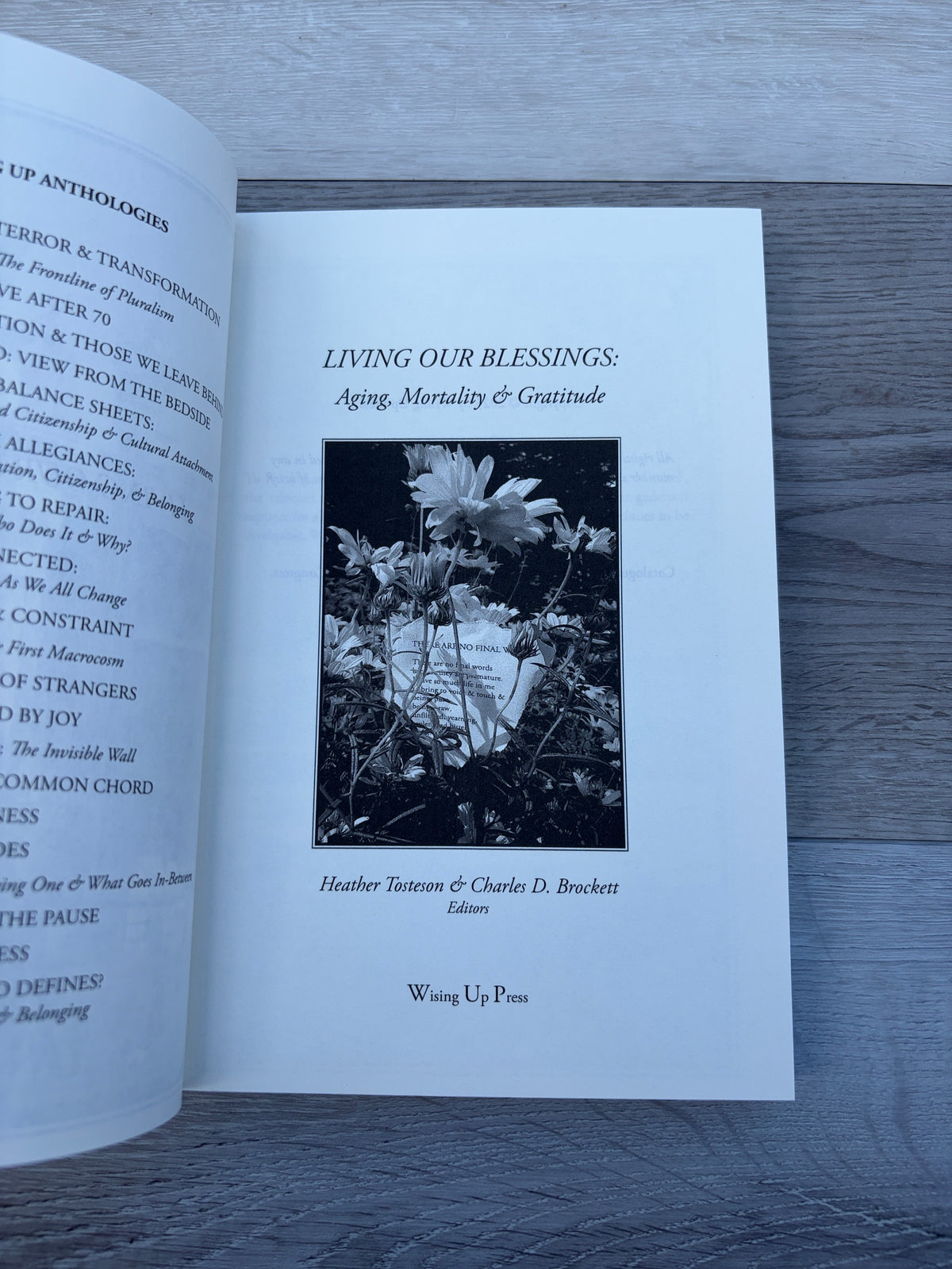 Terror & Transformation: The Frontline of Pluralism
