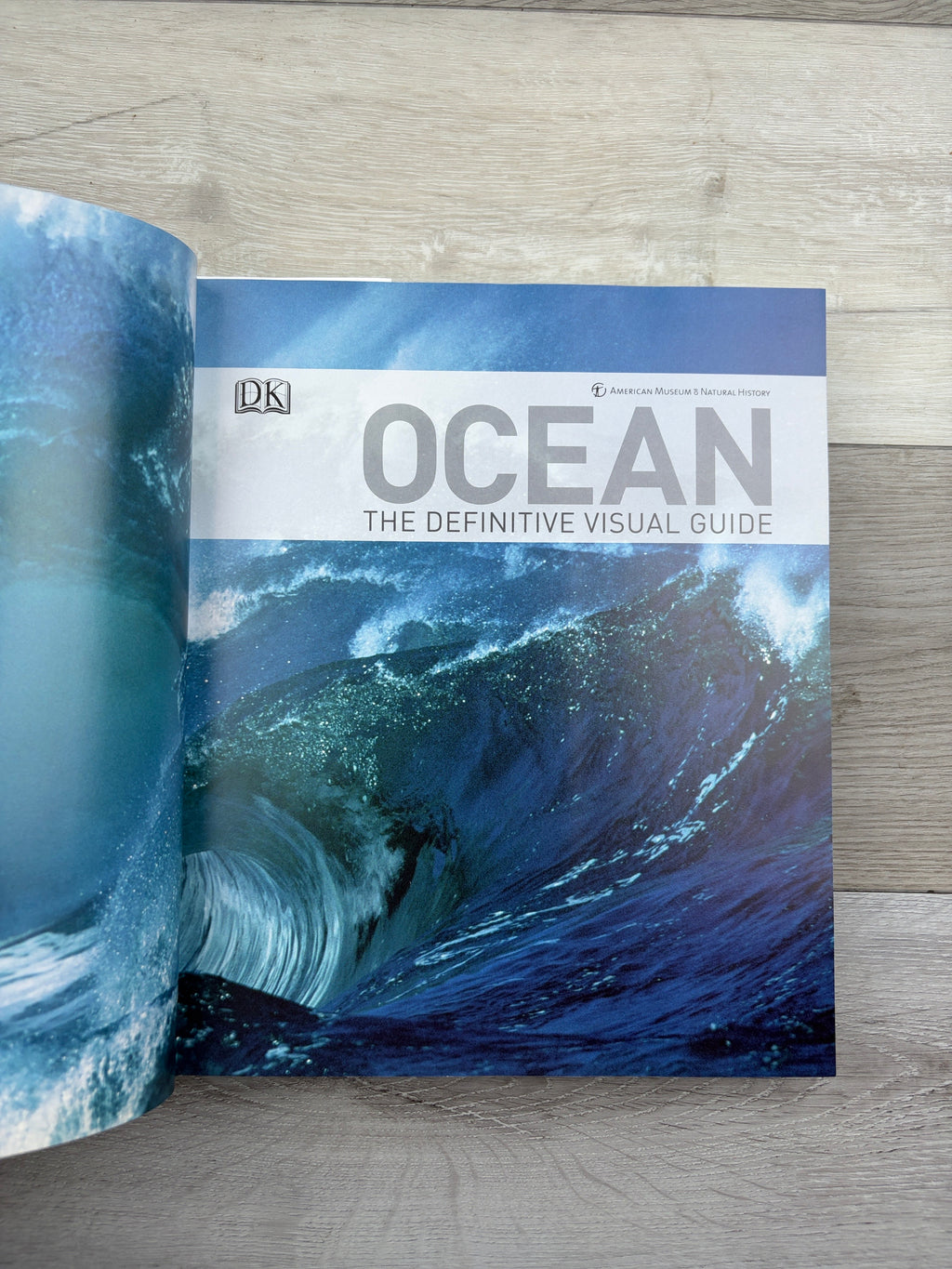 Ocean: The Definitive Visual Guide