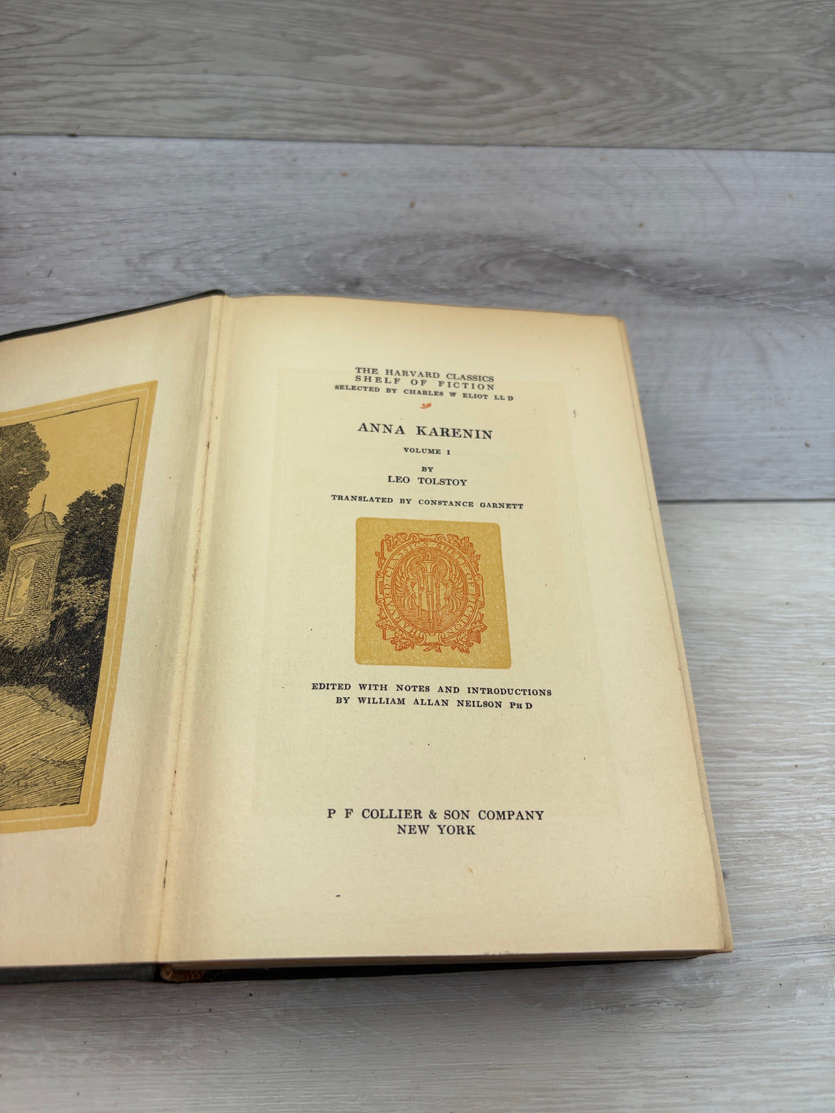 Anna Karenina, Volume 1