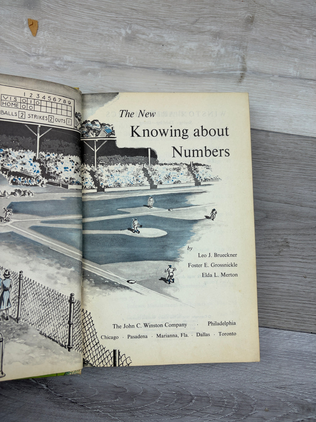 The New Knowing about Numbers