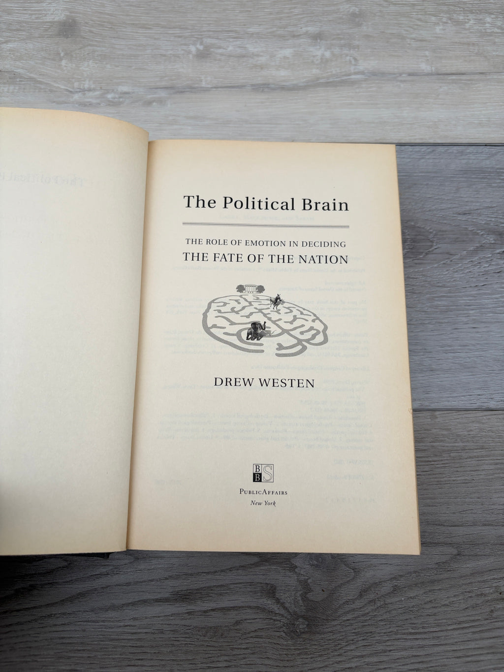 The Political Brain: The Role of Emotion in Deciding the Fate of the Nation