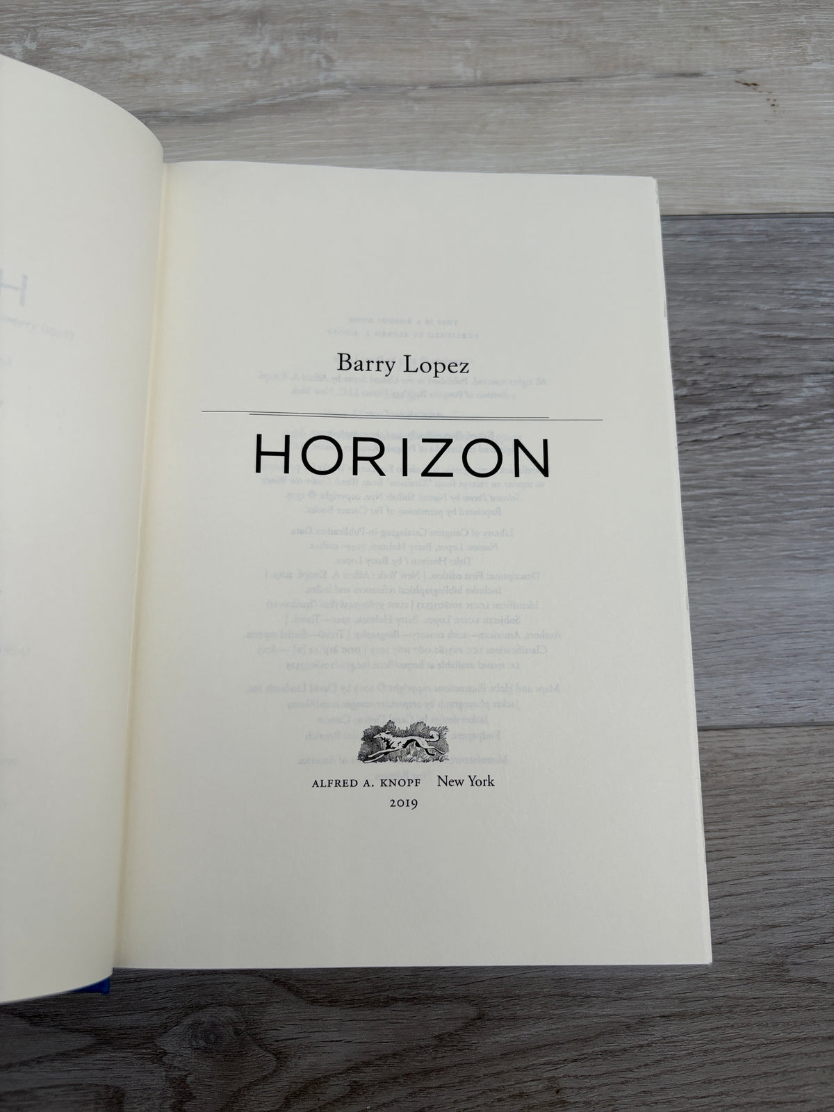 Horizon