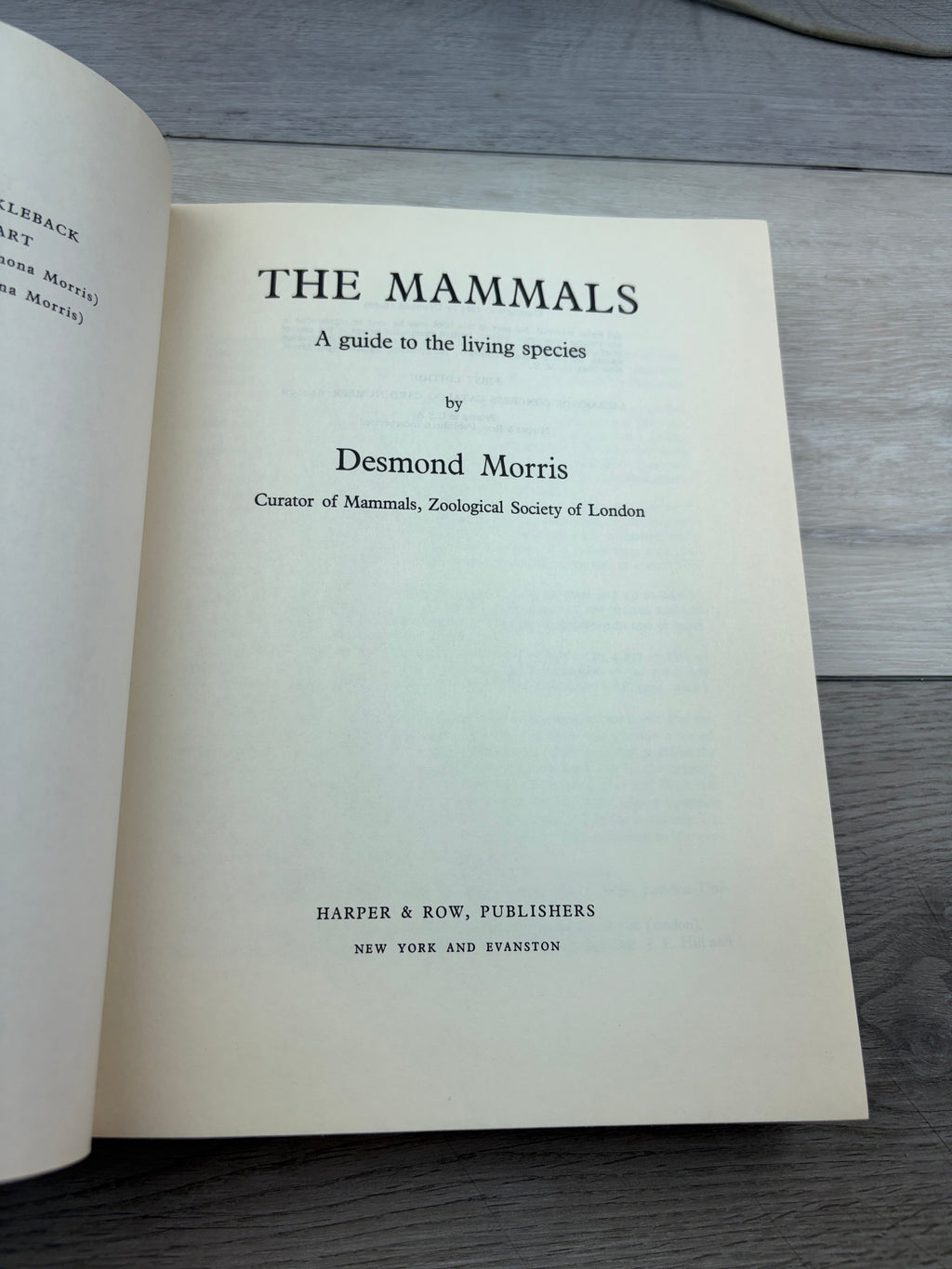 The Mammals