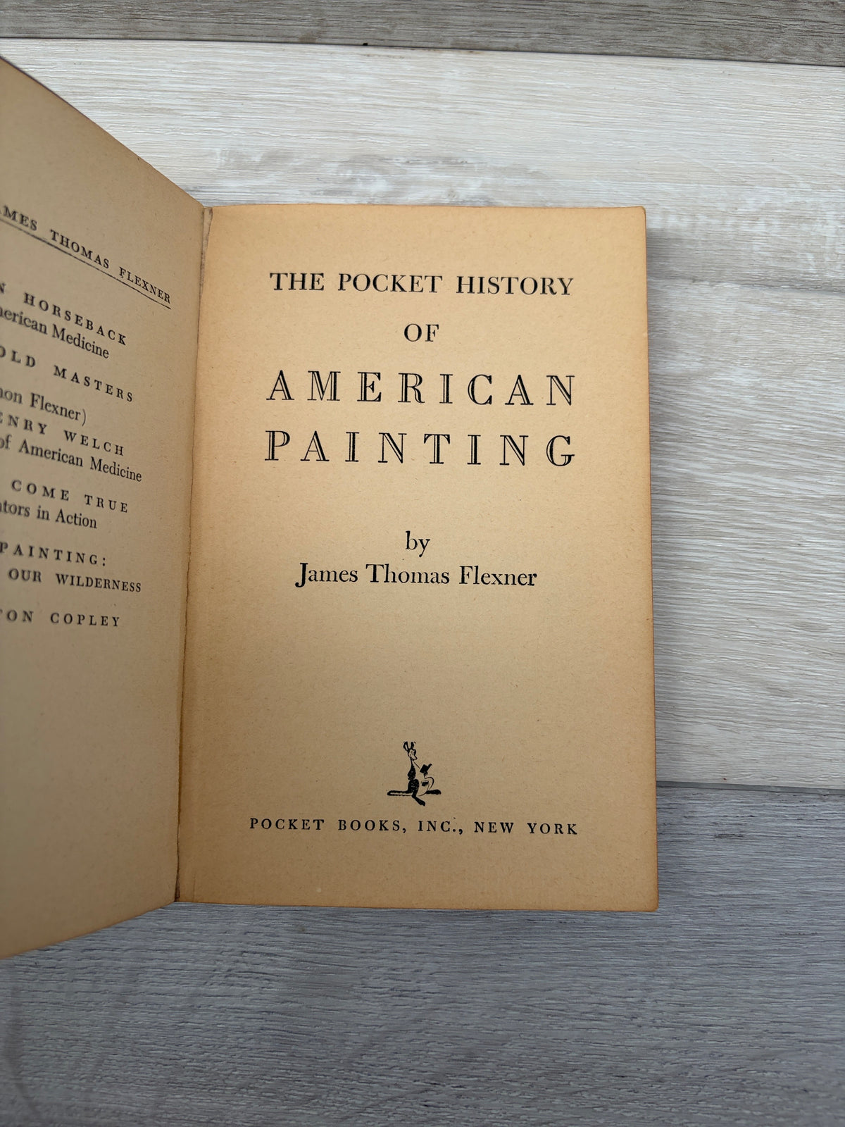 The Pocket History of American Painting