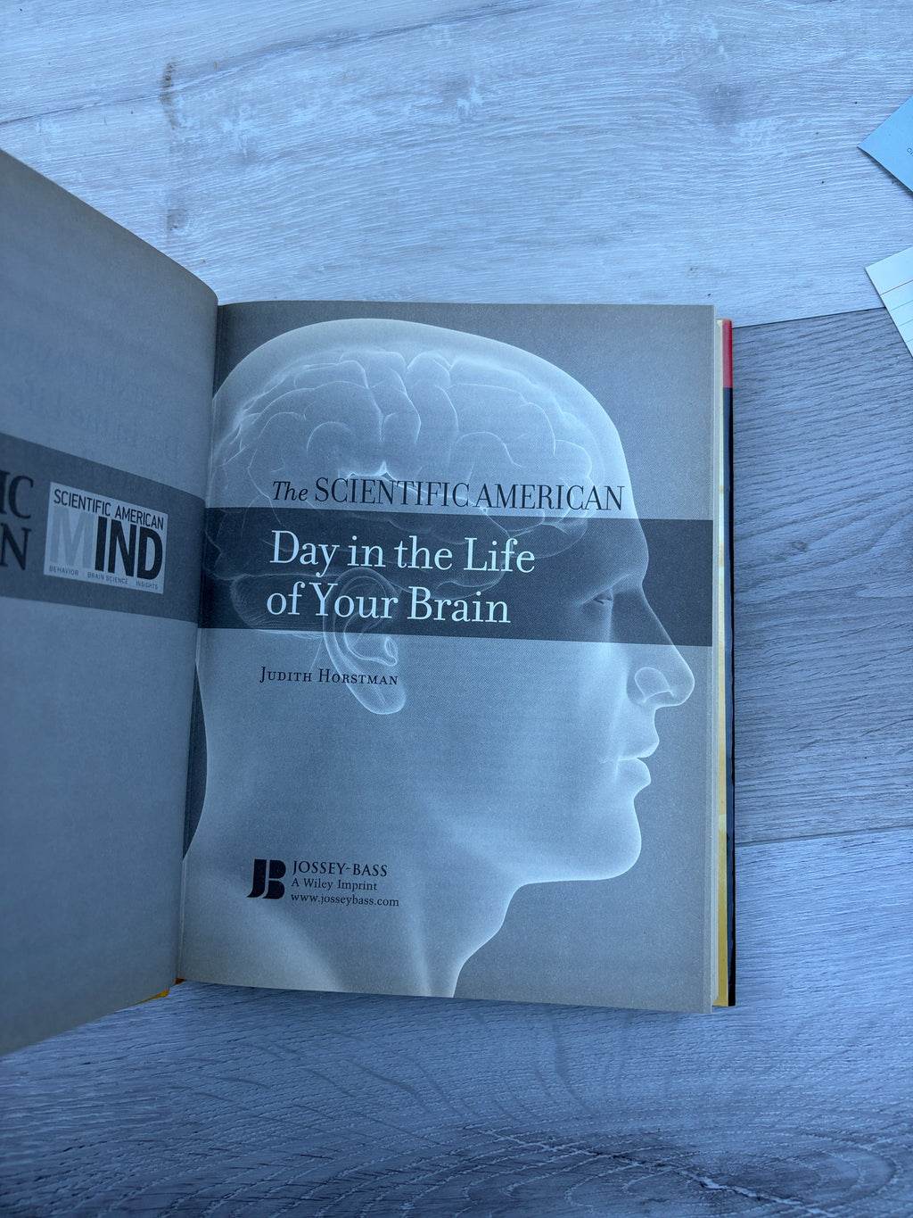 The Scientific American Day in the Life of Your Brain
