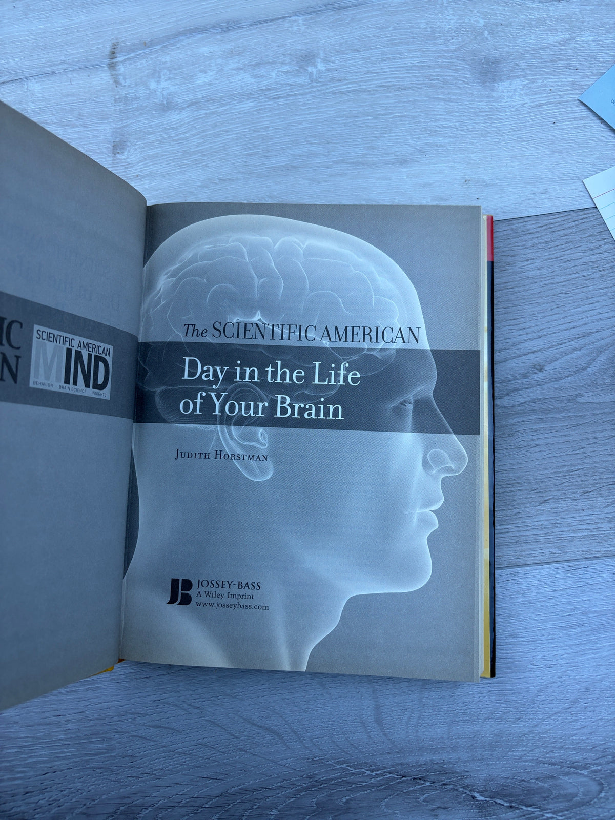 The Scientific American Day in the Life of Your Brain