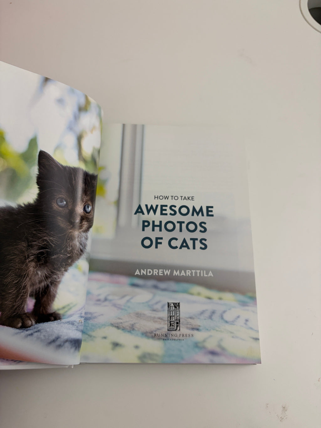 How to Take Awesome Photos of Cats