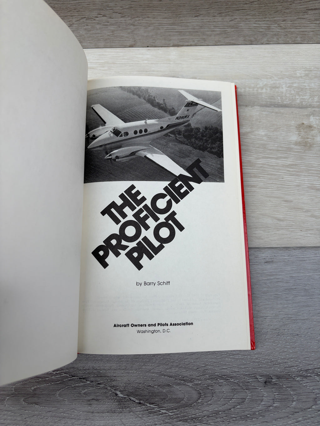 The Pilot