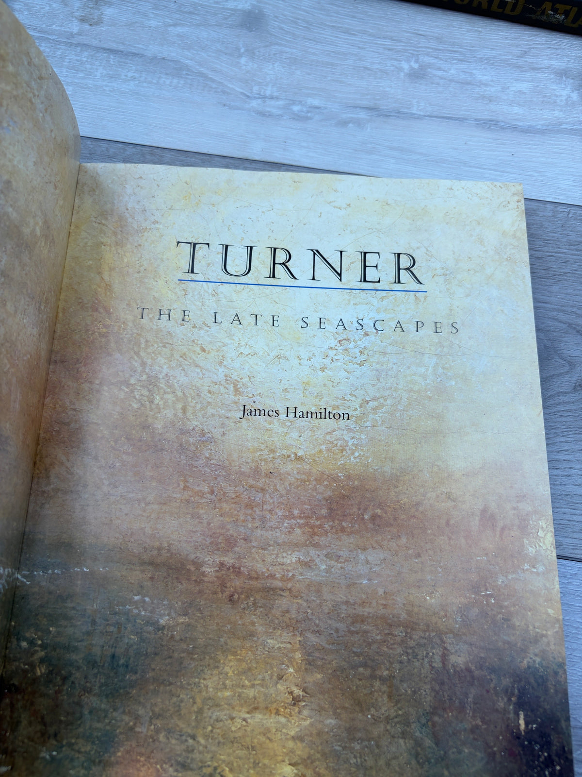 Turner: The Late Seascapes